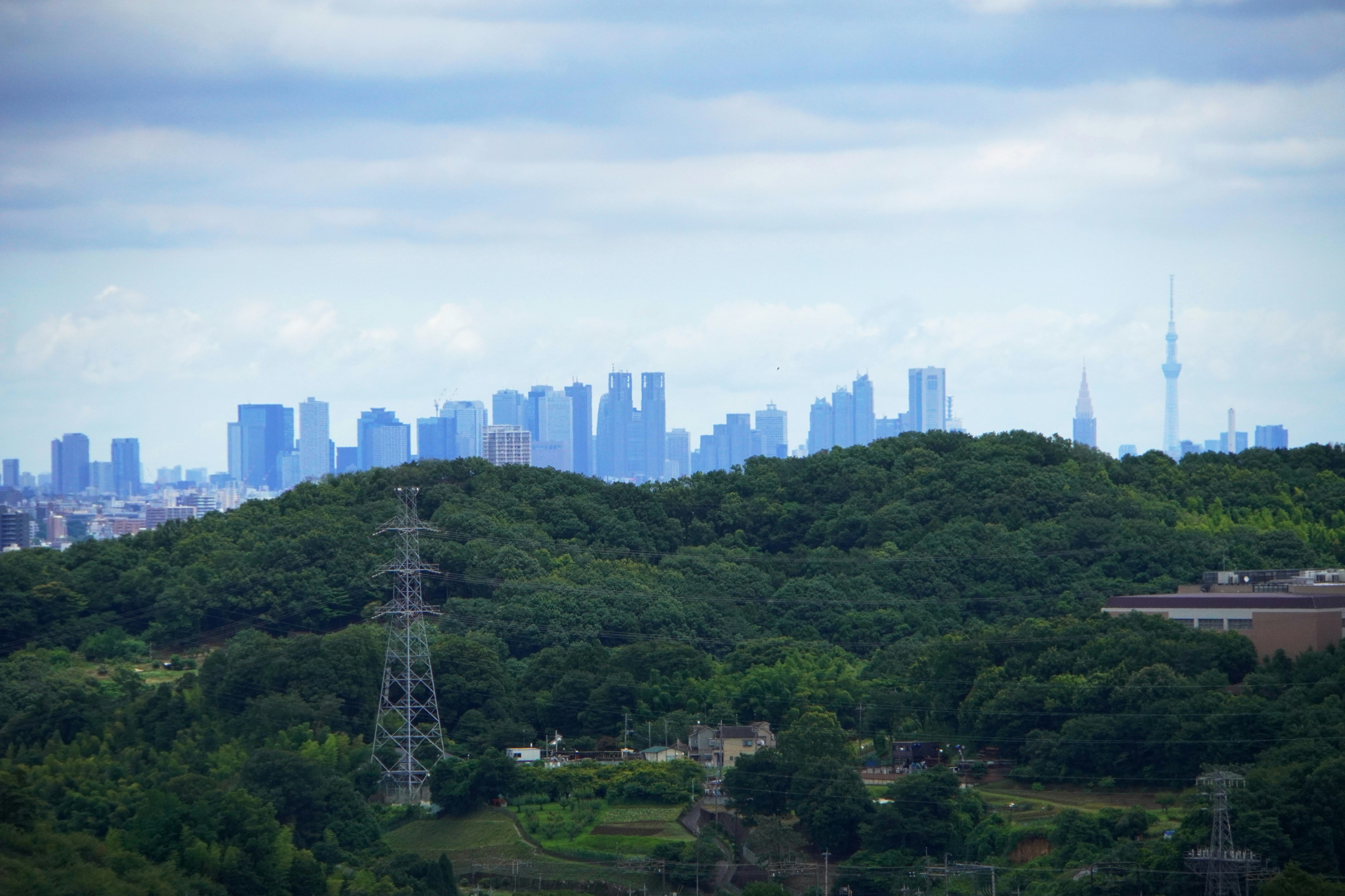 緑の丘から望む都心のスカイラインと塔のある景色