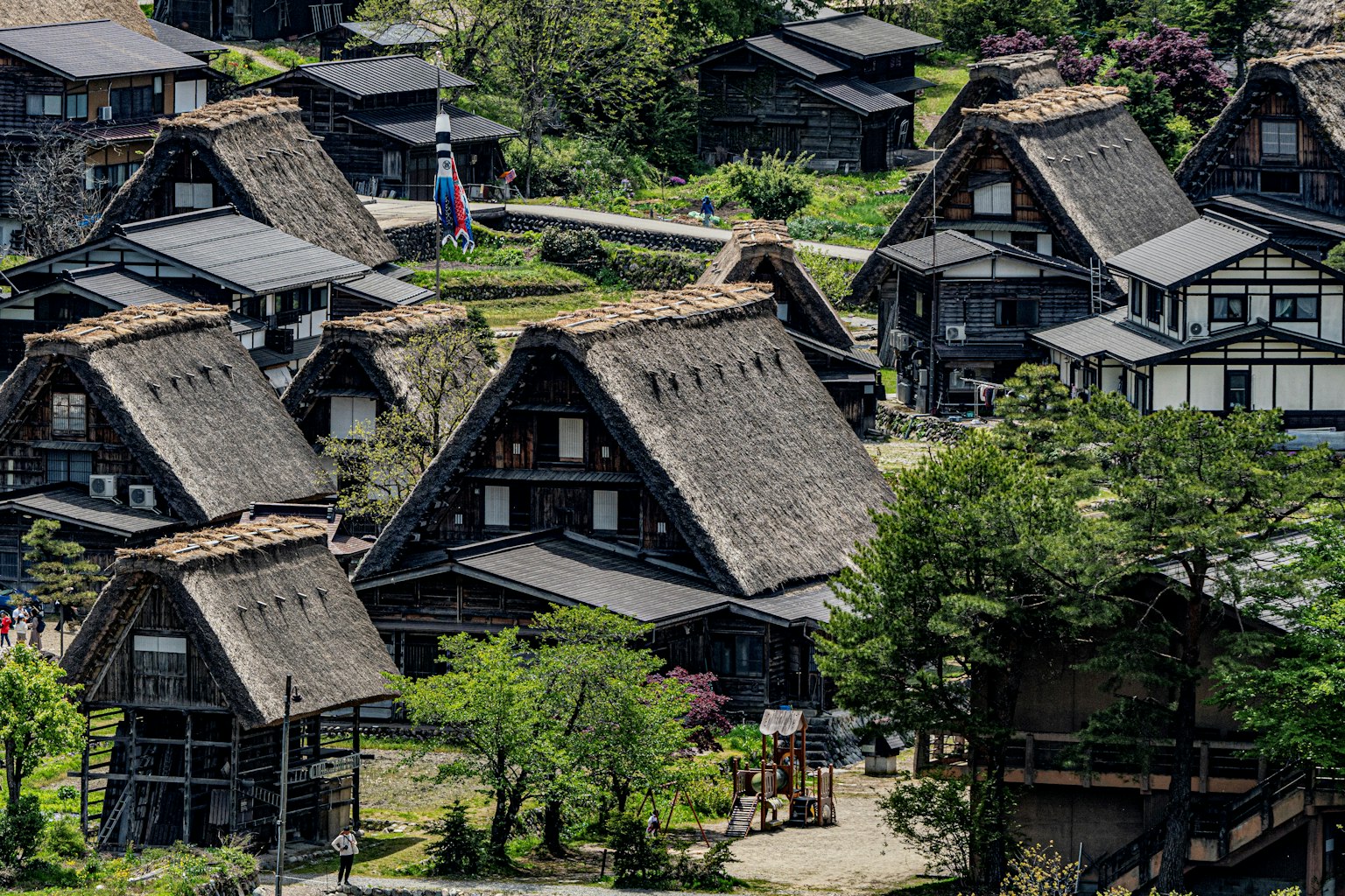風景如畫的村莊中的傳統合掌造屋