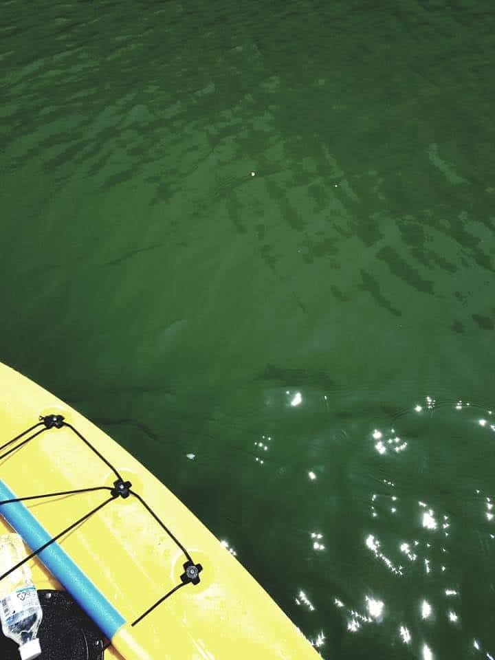 川の水面でSUPを漕ぐアクティブな水上アクティビティ
