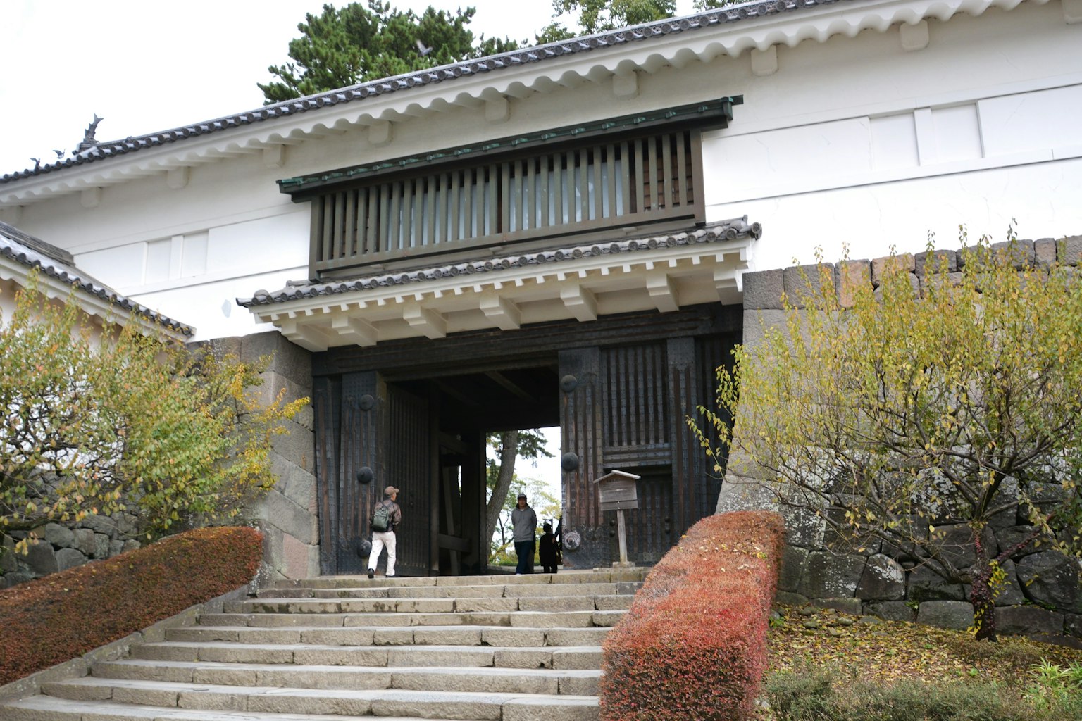 歷史悠久的城堡門和周圍的花園