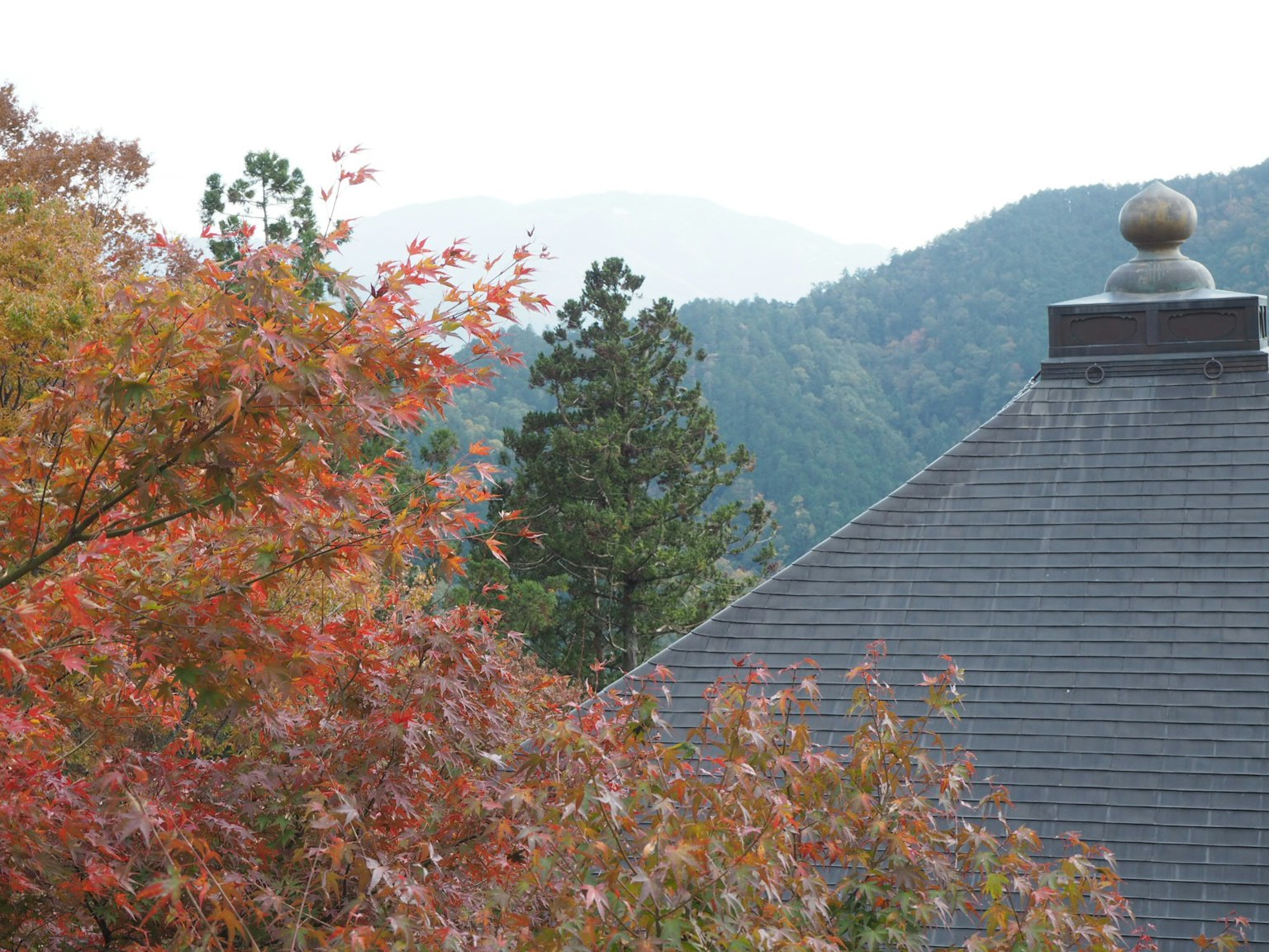 Landschaft mit herbstlichen Blättern und Bergen hinter einem Dach