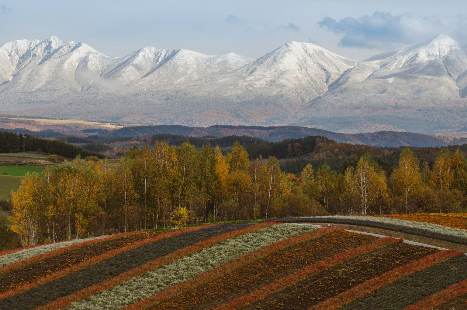Montañas cubiertas de nieve con campos coloridos en primer plano