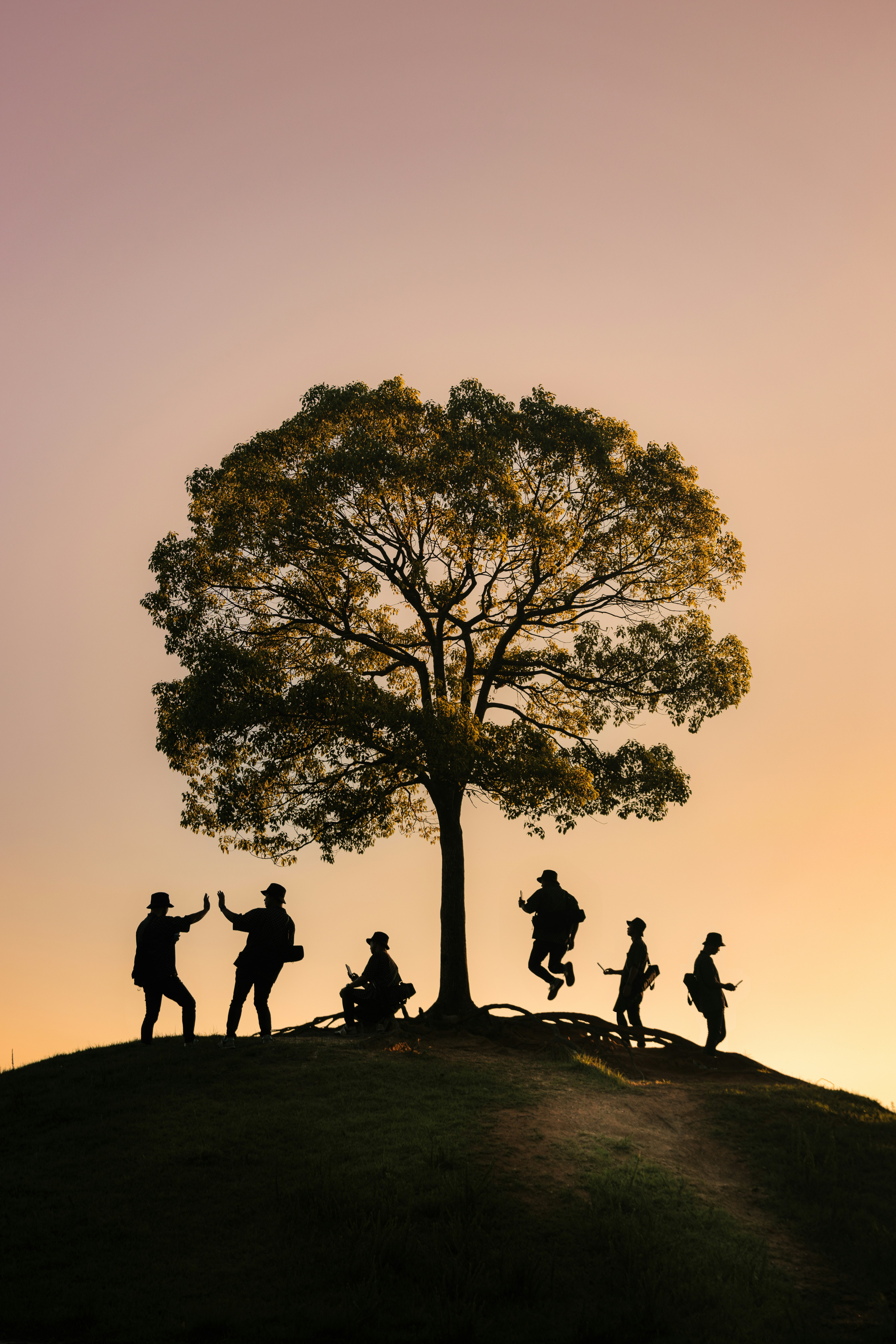 silhouettes of people gathered around a tree on a hill at sunset