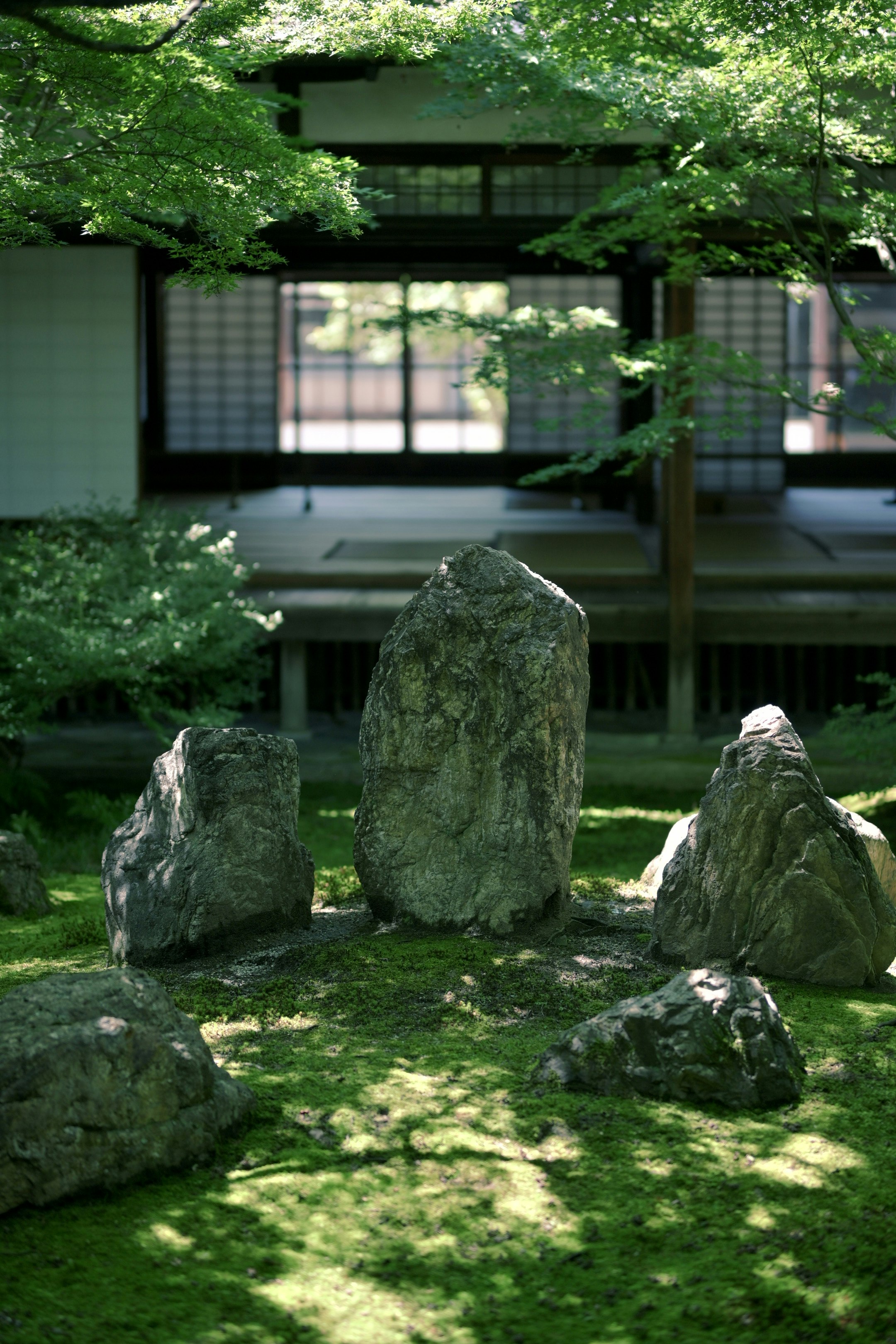 Mossy garden stones and greenery in a Japanese courtyard