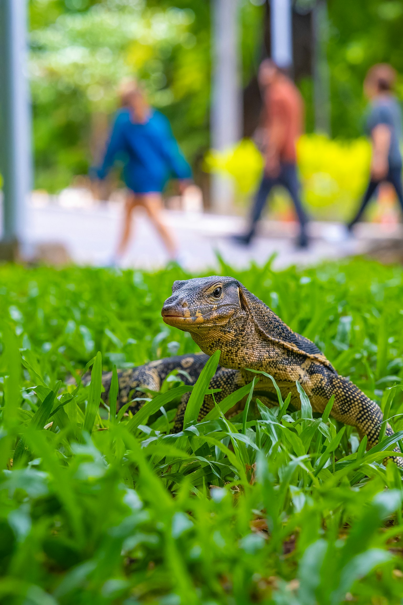 photo-THBzQZXkiXt314ExZxys-image