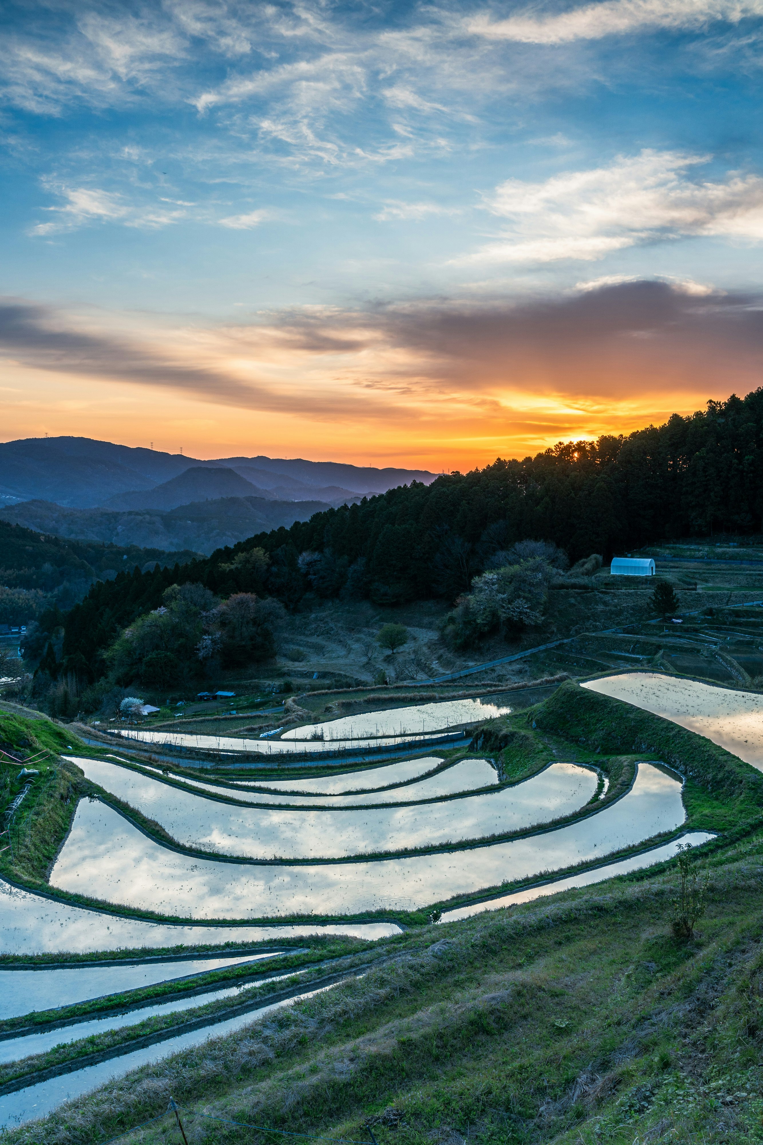 朝焼けの棚田と山並みの田園風景