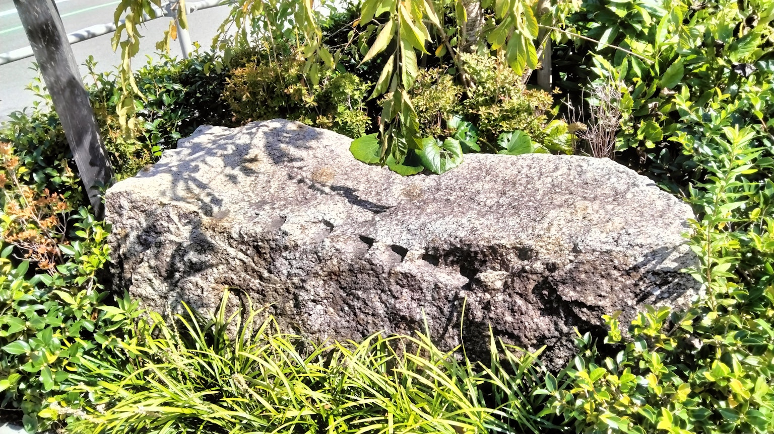 Gran roca rodeada de plantas verdes en un jardín