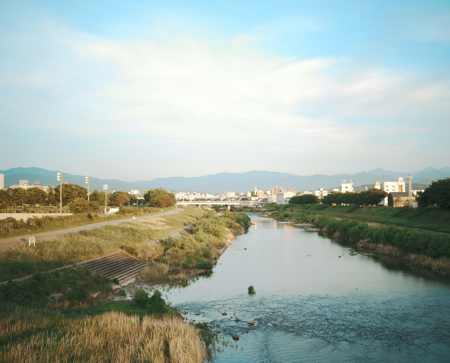 宁静的河流和周围的绿地以及远处的城市景观