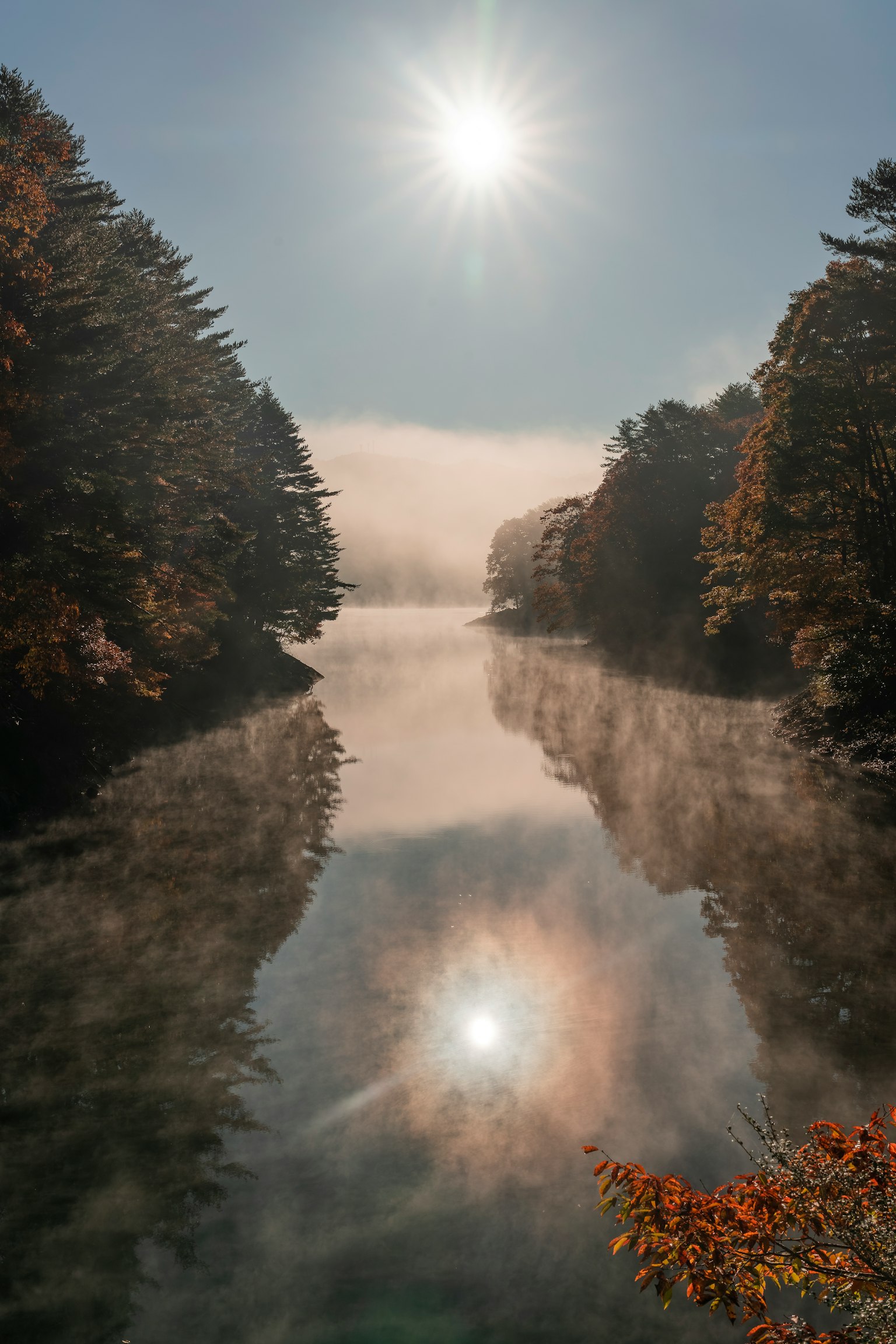 Scena serena di un fiume con alberi autunnali e riflesso del sole