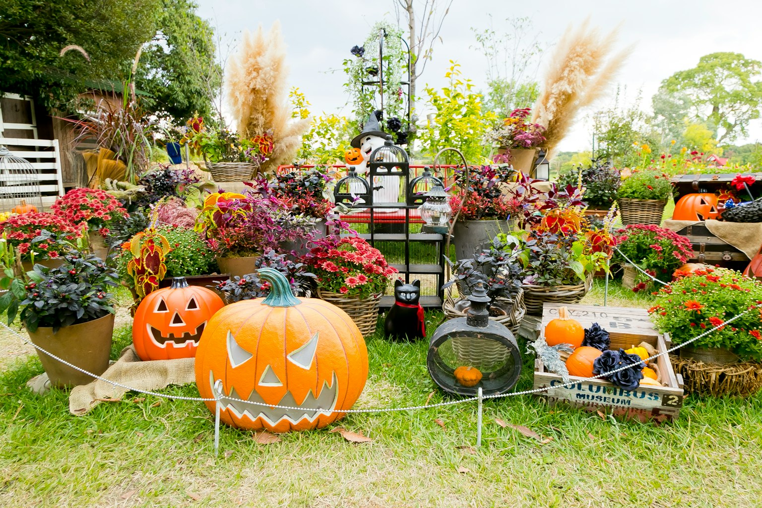 Un giardino decorato per Halloween con piante colorate e zucche