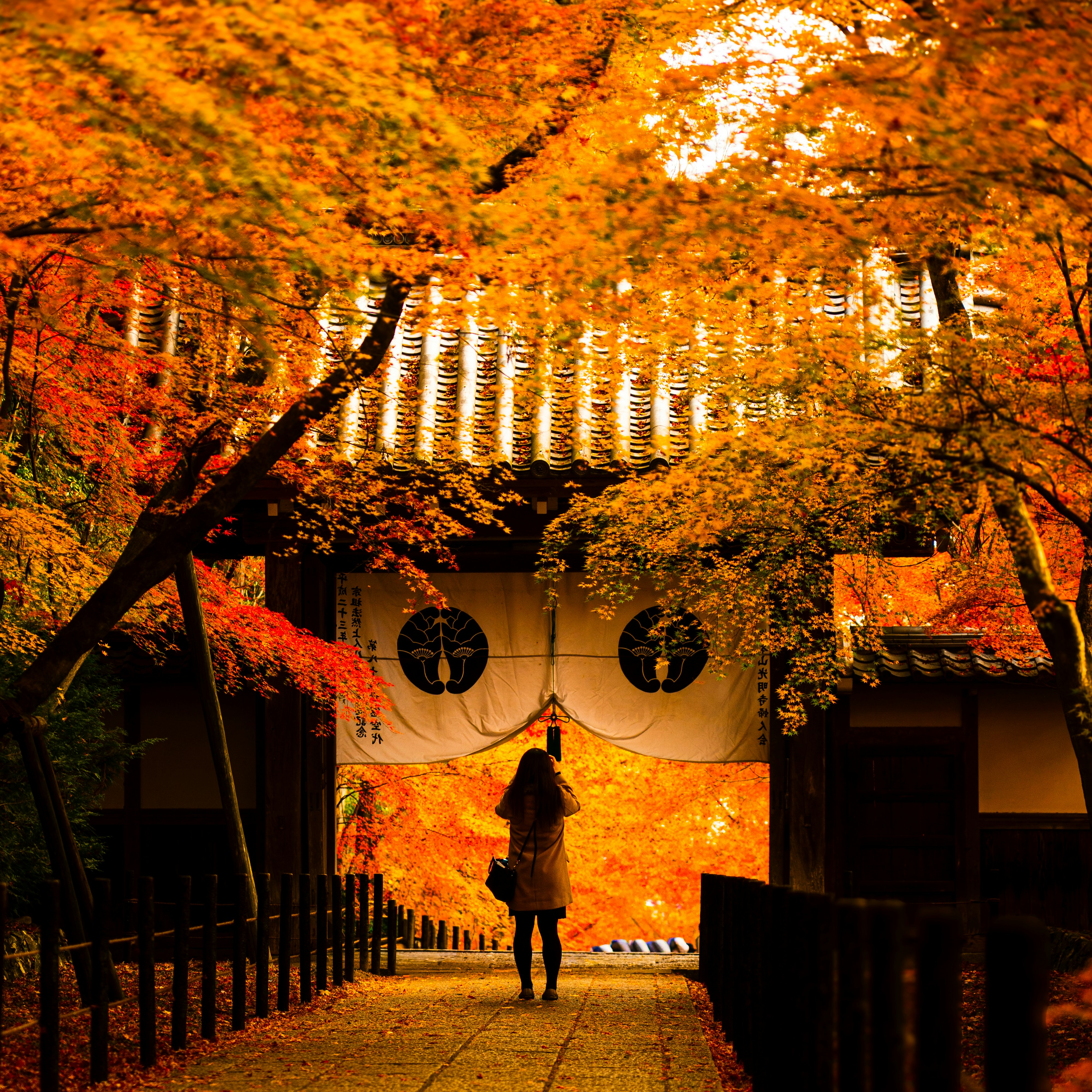 京都の秋の紅葉に包まれた石畳の小道