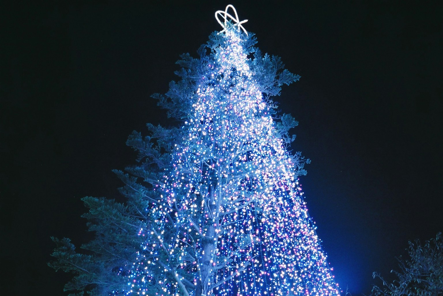 Ein blauer Weihnachtsbaum, der nachts beleuchtet ist, mit einem dekorativen Topper