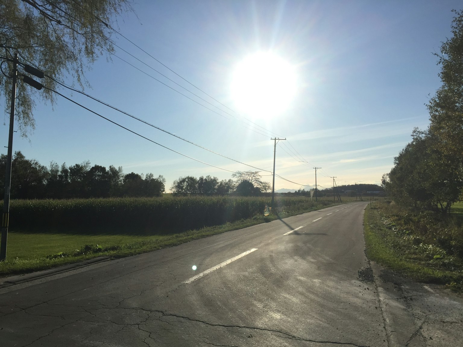 晴朗的日子，彎曲的道路穿過綠色田野