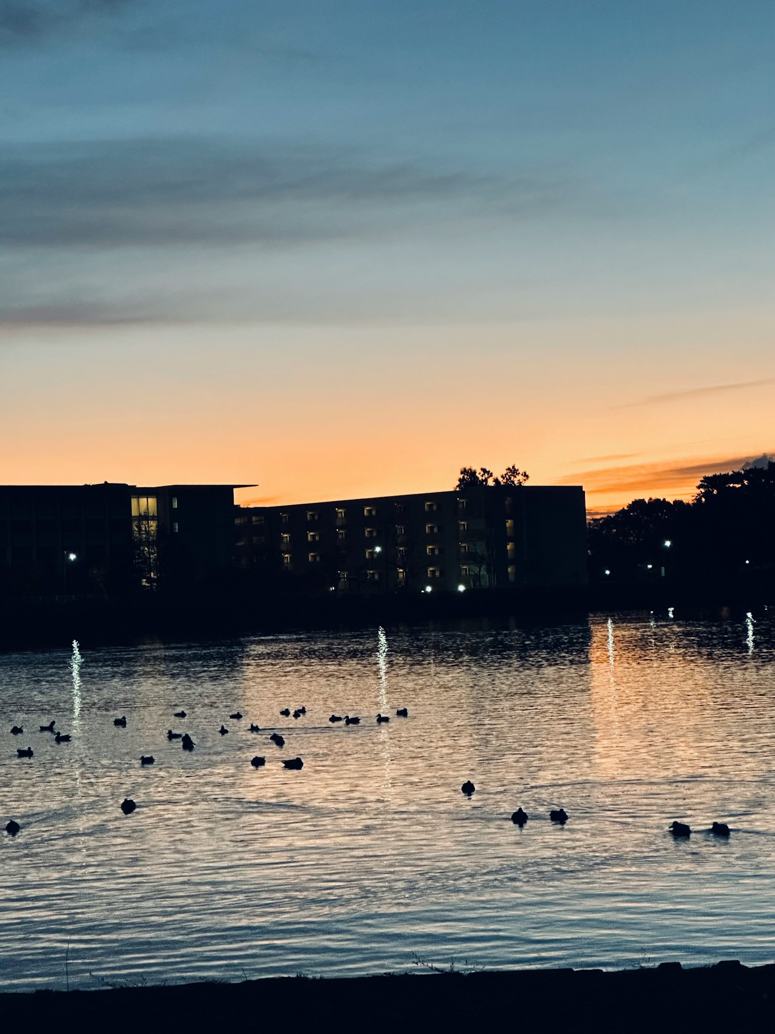 photo-TJDjdIif25yvH6hUry7z-image