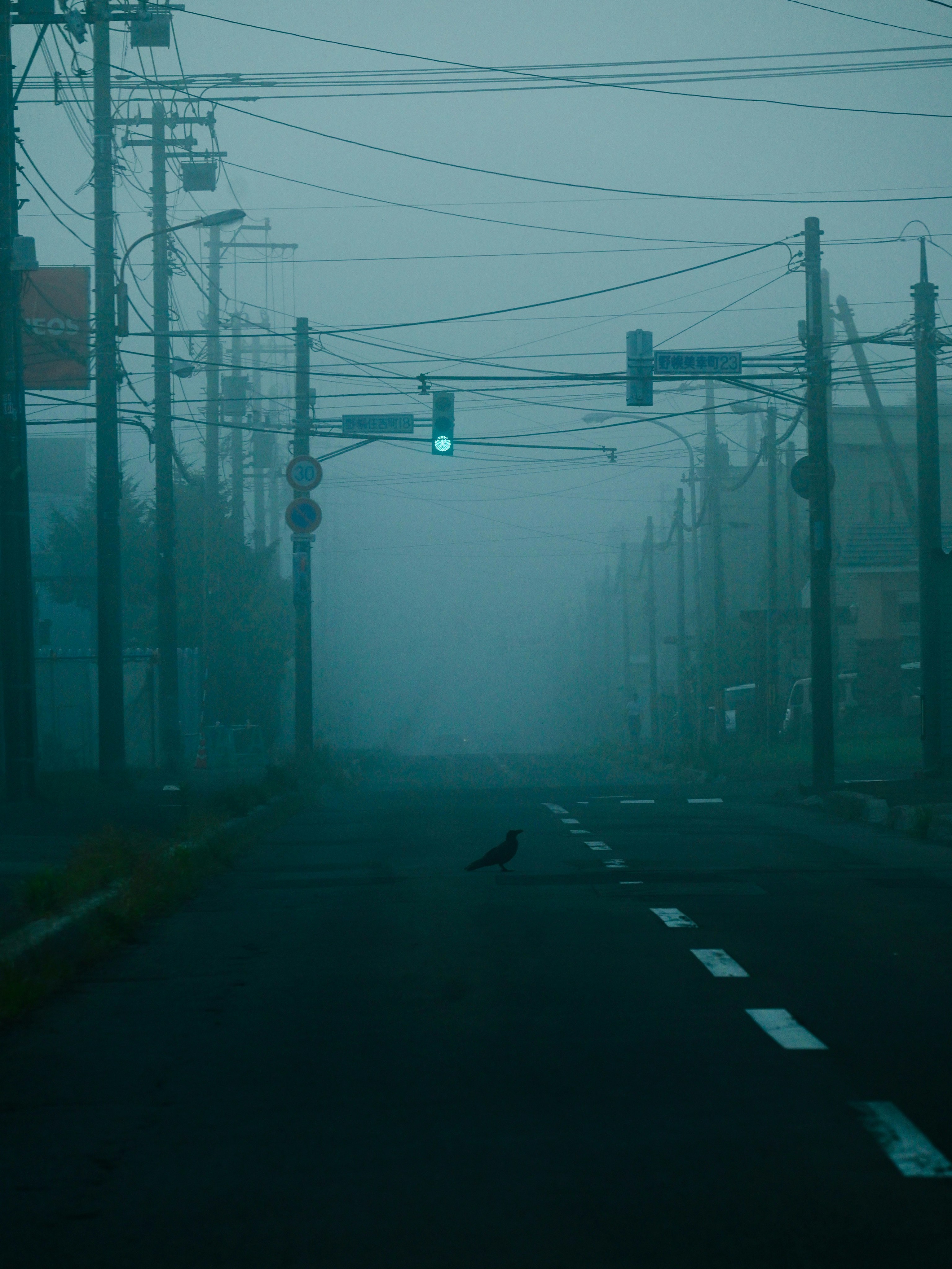 霧のかかった早朝の信号と電柱が並ぶ道路
