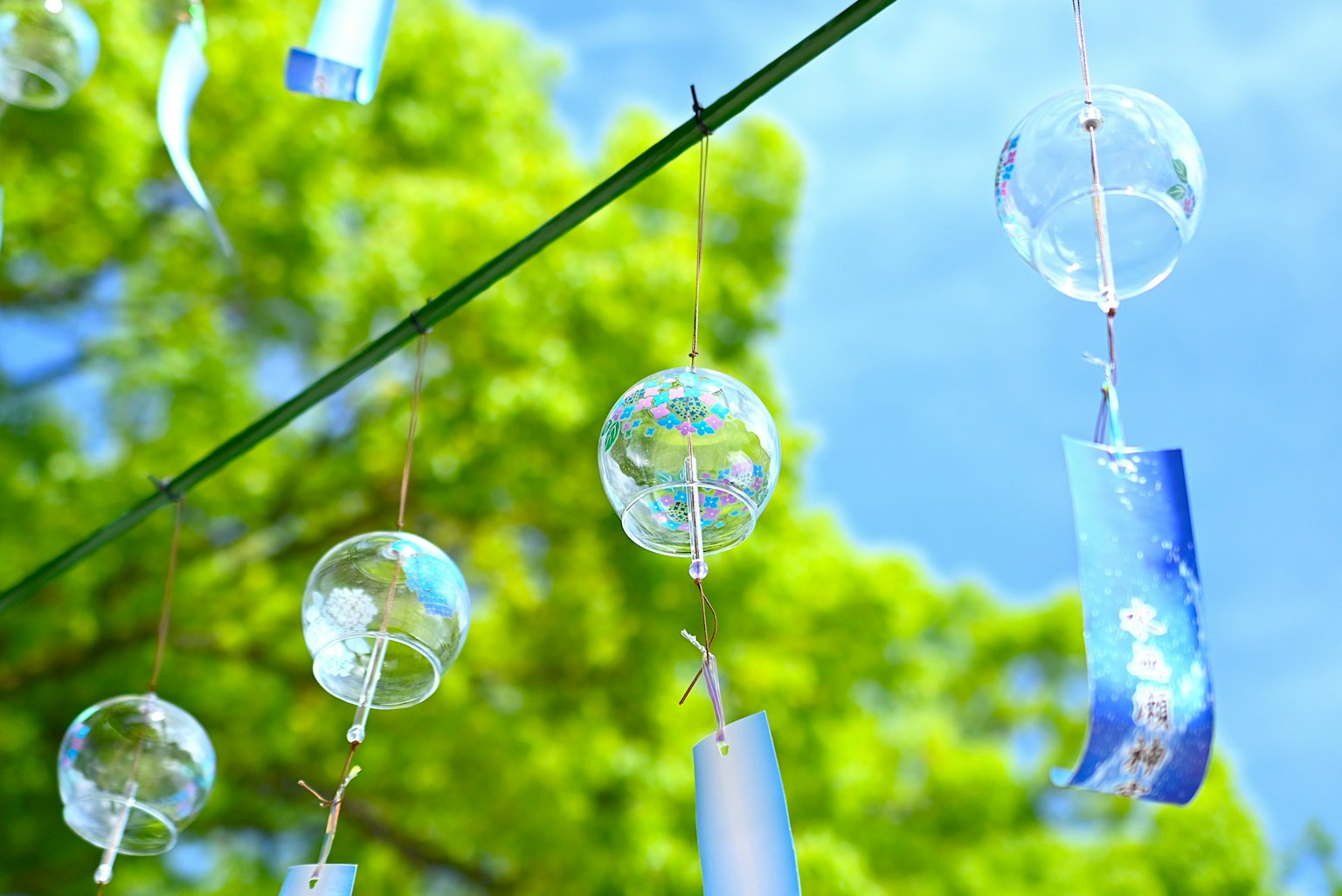 Clochettes suspendues sous un ciel bleu avec des arbres verts