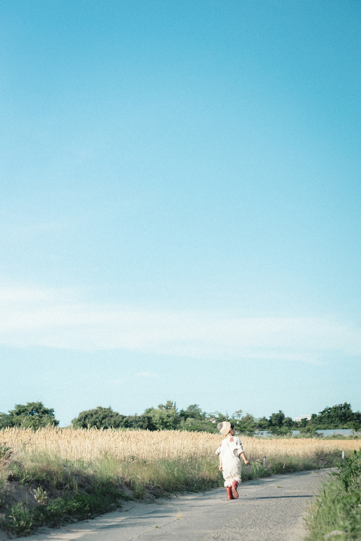 Un niño caminando por un camino bajo un cielo azul rodeado de campos verdes