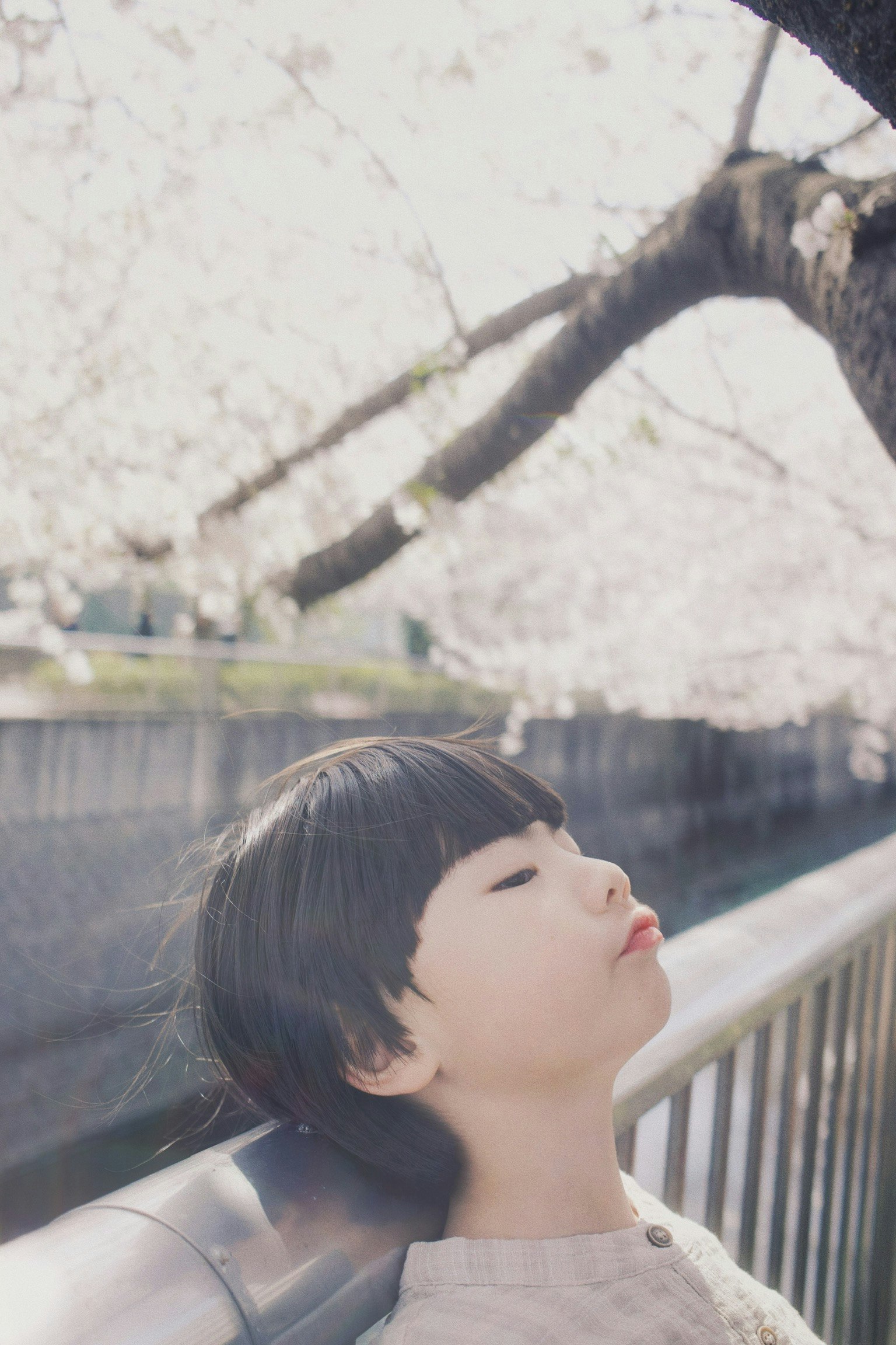 Child resting under a cherry blossom tree