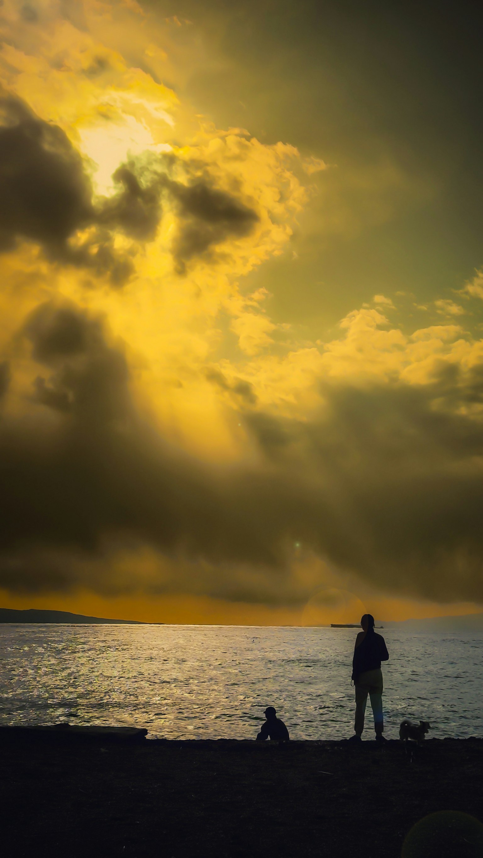 Silhouette of a person and dog by the sea with yellow clouds and sunset