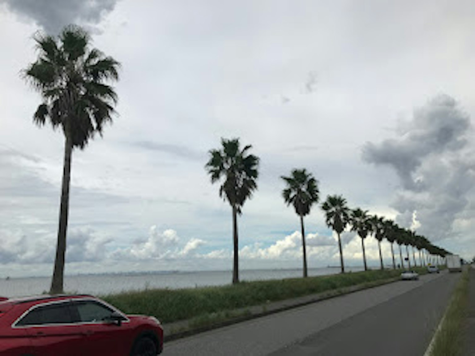 Vue côtière avec des palmiers et une voiture rouge