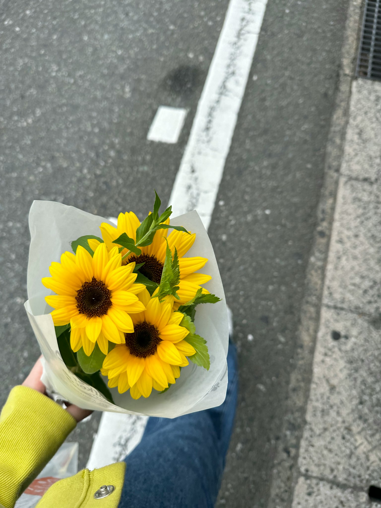 Bouquet di girasoli tenuto in mano con la strada circostante