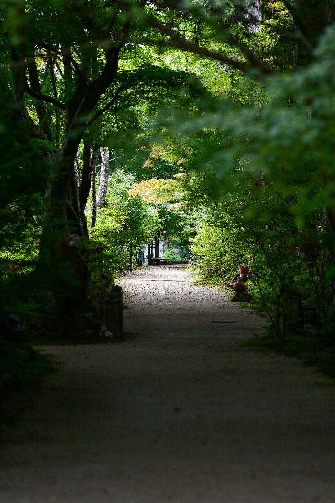 baumgesäumter Weg zum Tempelzugang des Chōju-ji