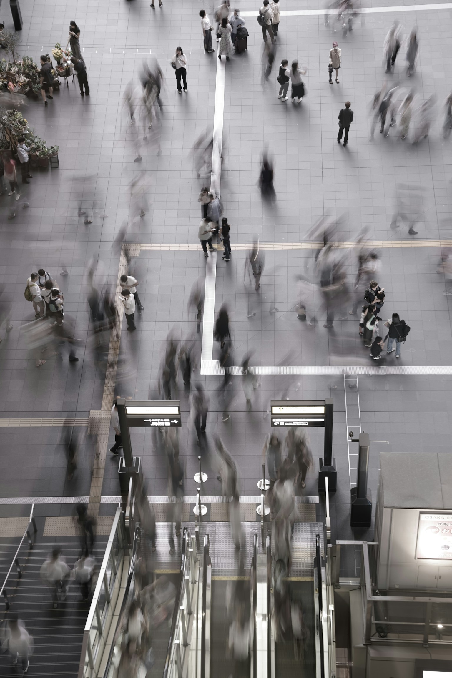 photo-TKr6LBPUoBZ1AMYBaf10-image