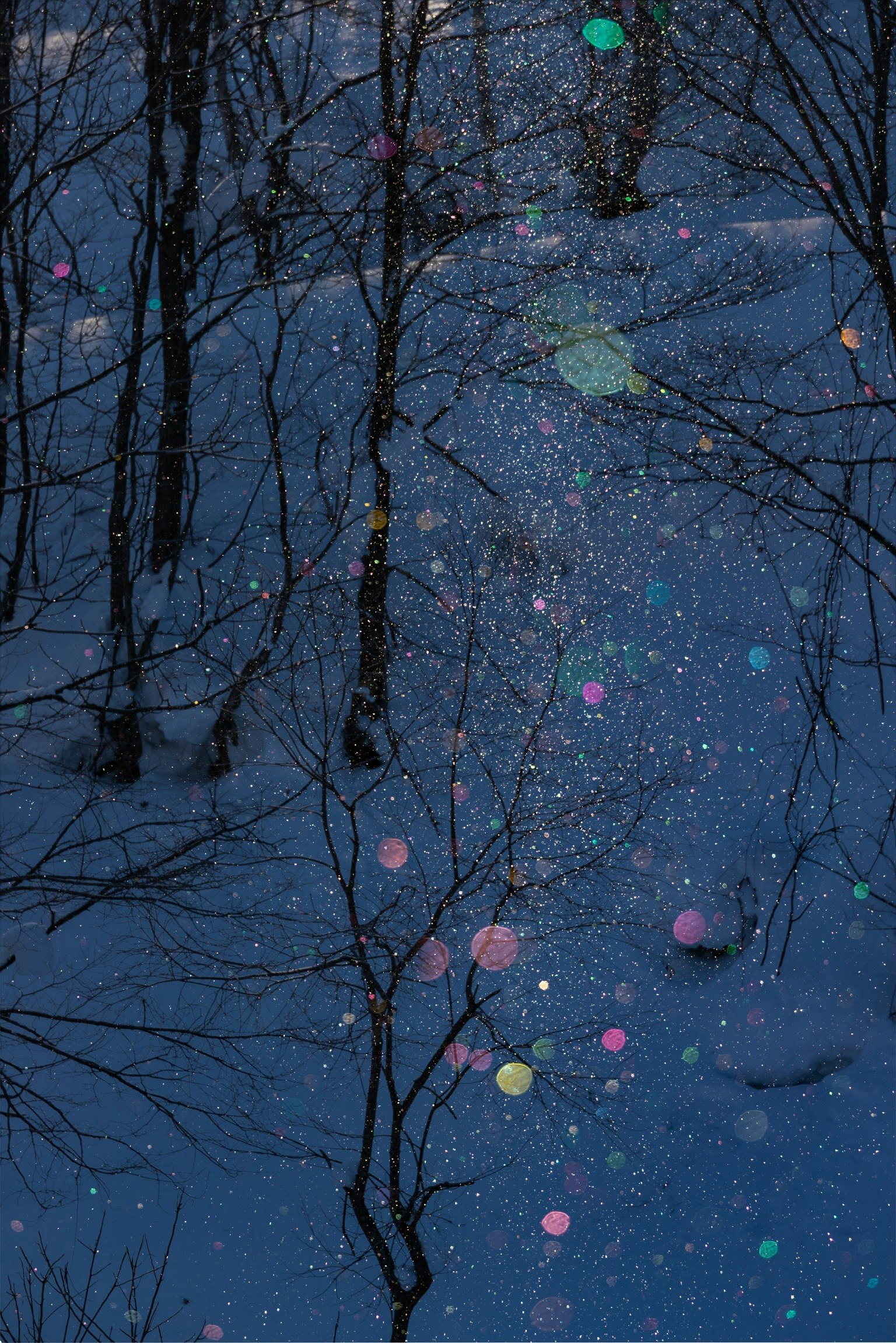 Paesaggio invernale blu con macchie luminose colorate riflesse tra gli alberi