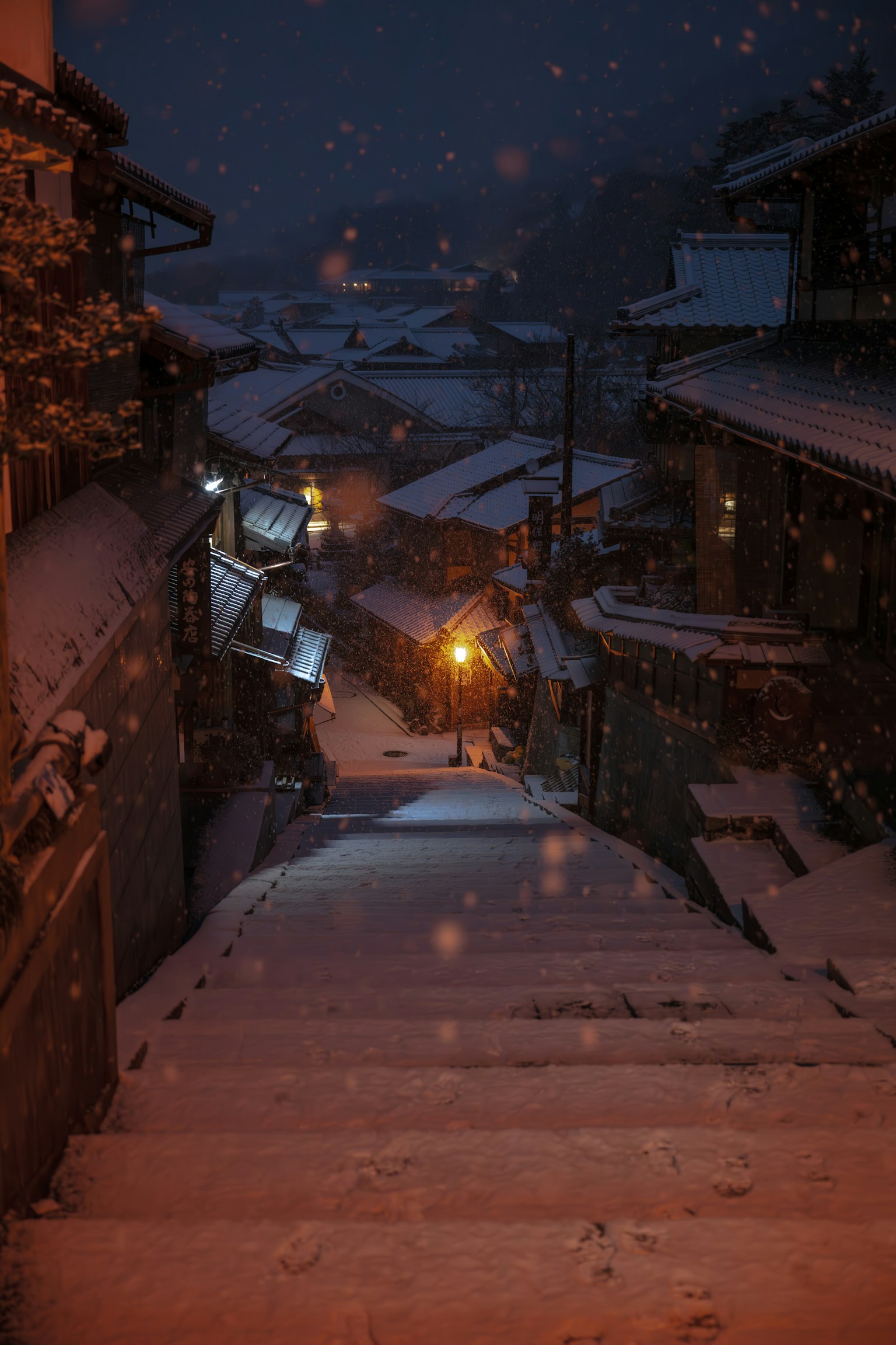 photo-TLvi29fidXcWObQFZbtH-image