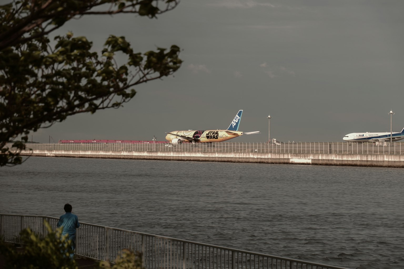 A plane taking off near the water with a person standing by the fence