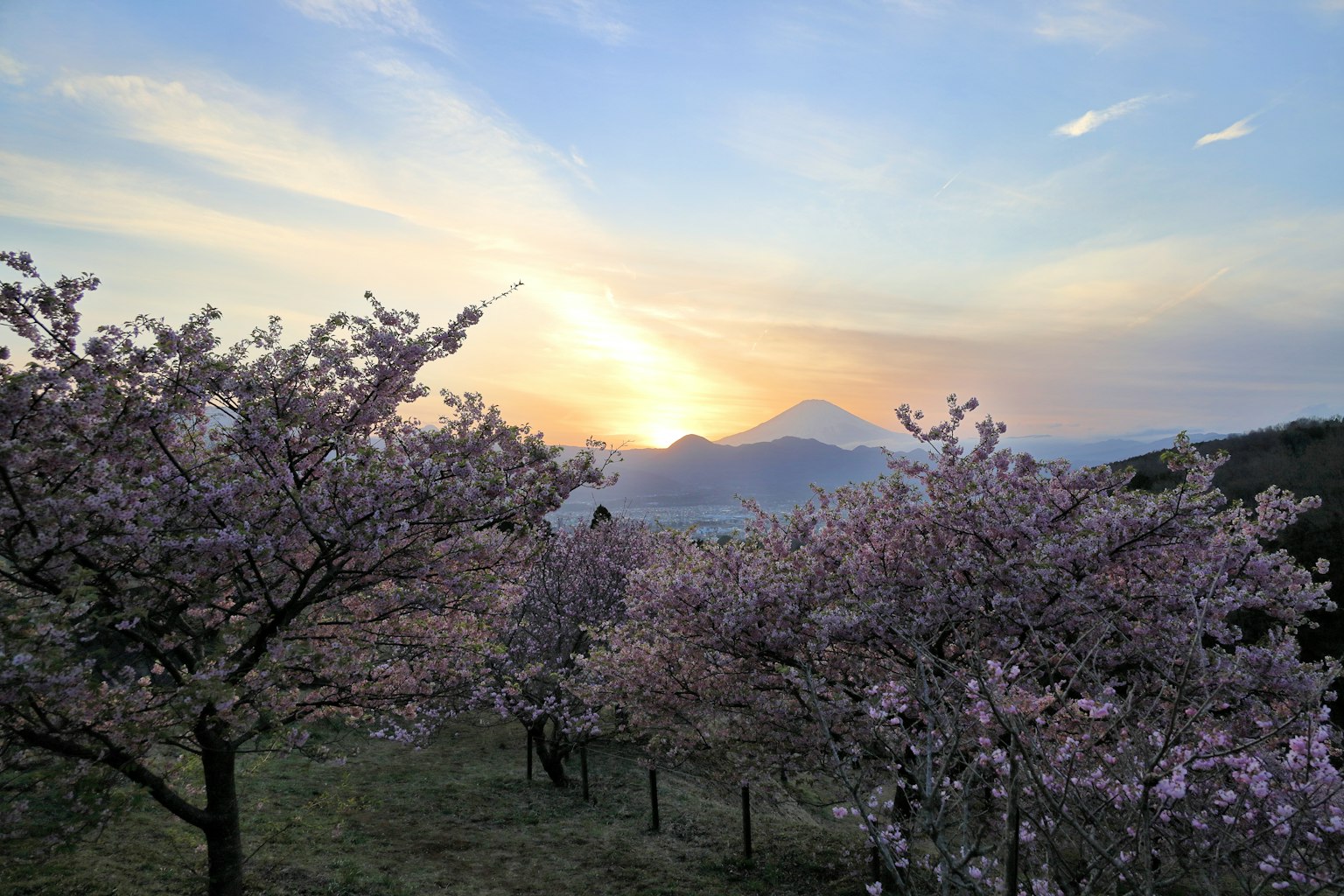 photo-TNIipVp9MhGi7Cwy977c-image