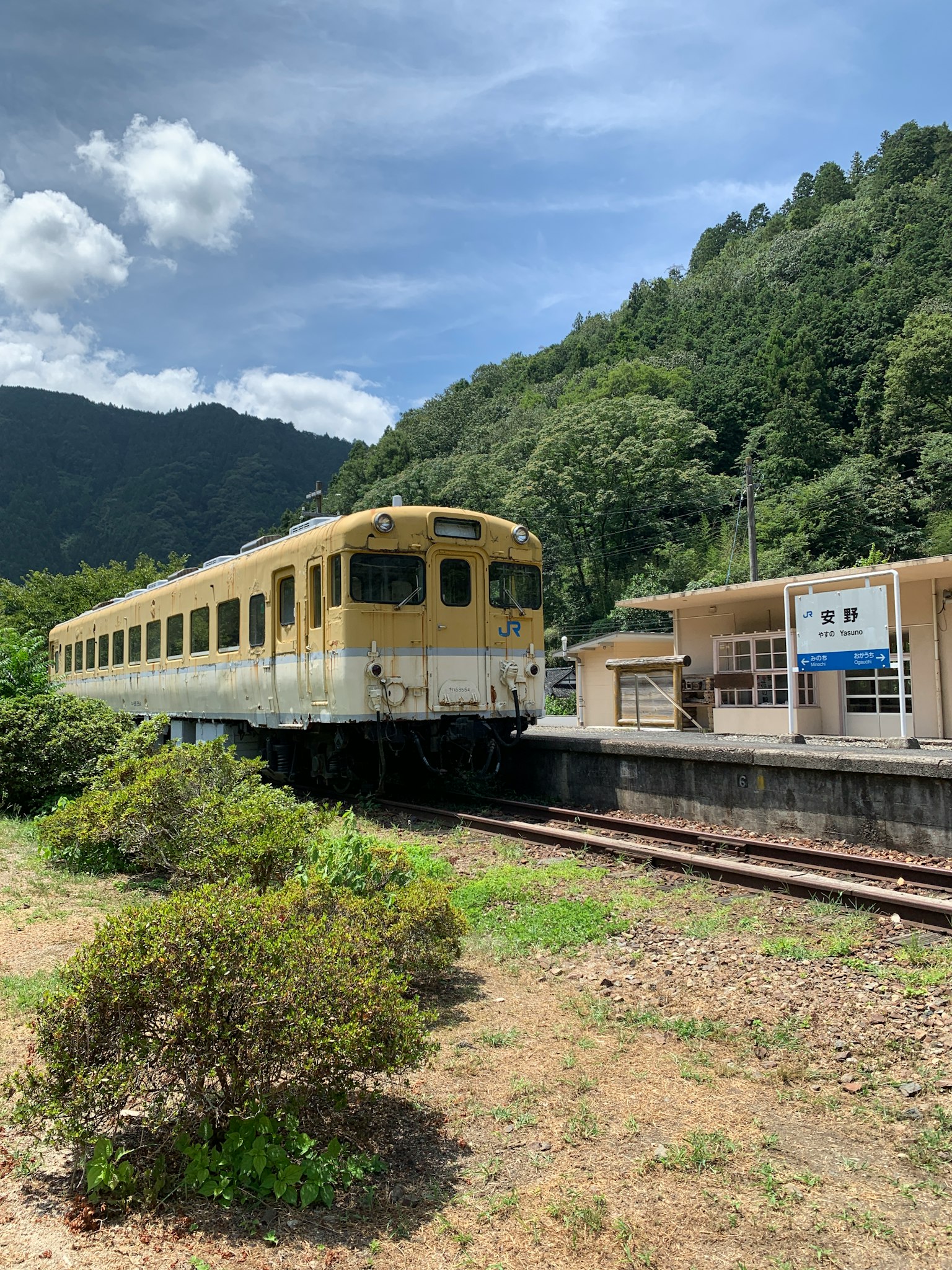 Treno giallo fermo a una stazione circondata da montagne