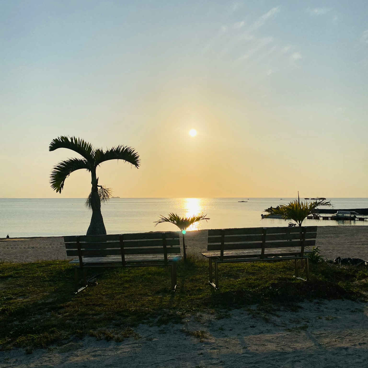 Bancs sur la plage avec palmier et coucher de soleil en arrière-plan