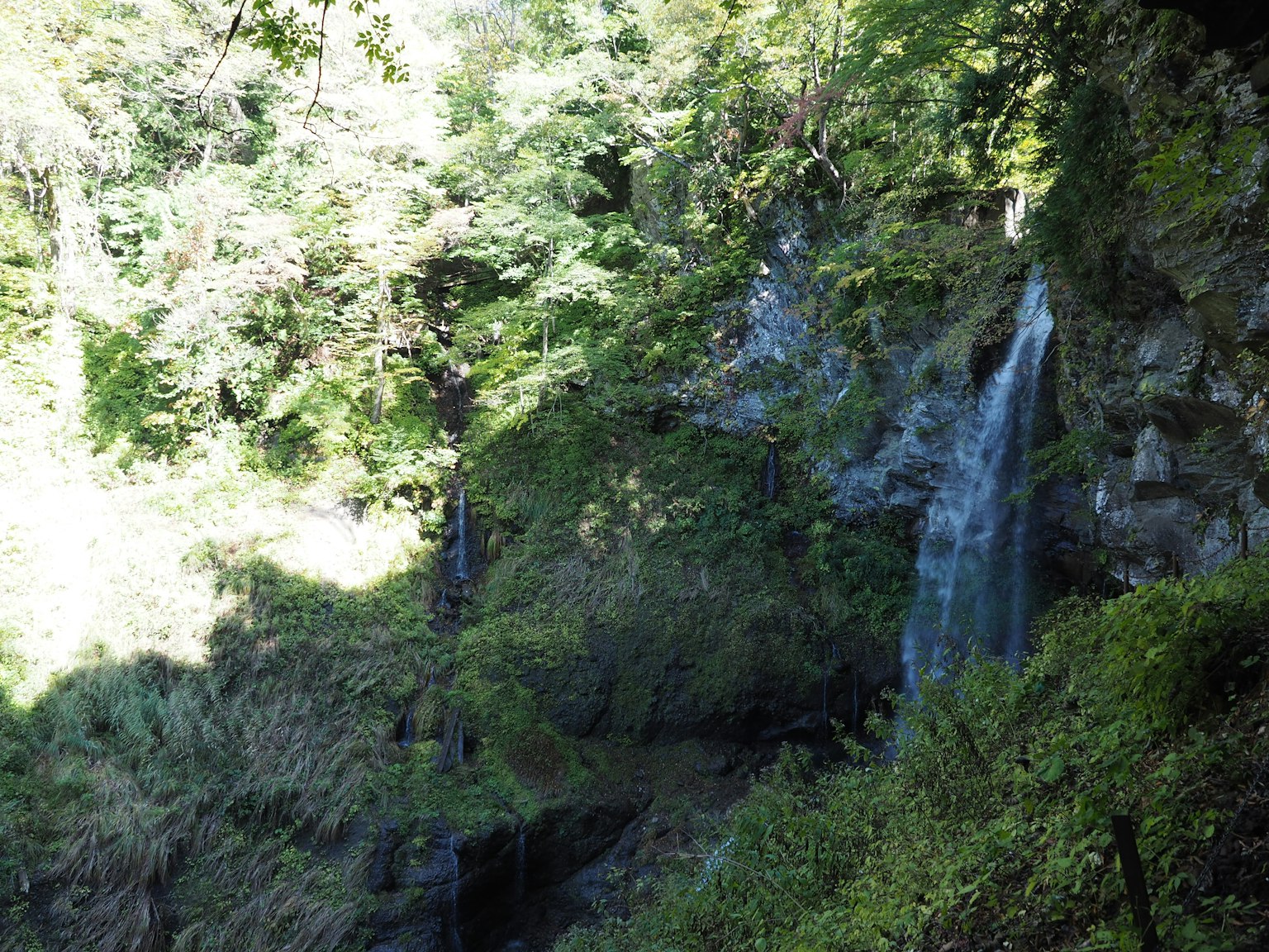 Vista escénica de una cascada rodeada de un bosque verde