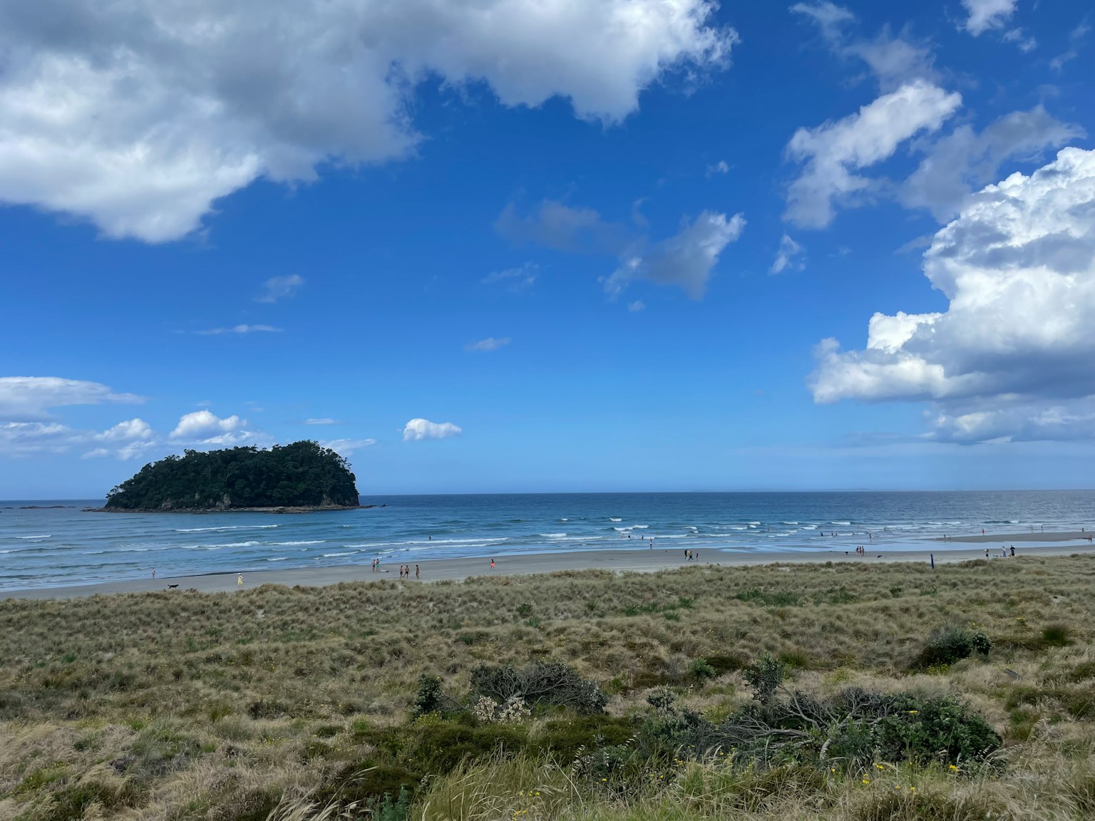Un paesaggio costiero con cielo blu e nuvole bianche, una riva erbosa e un'isoletta nell'oceano