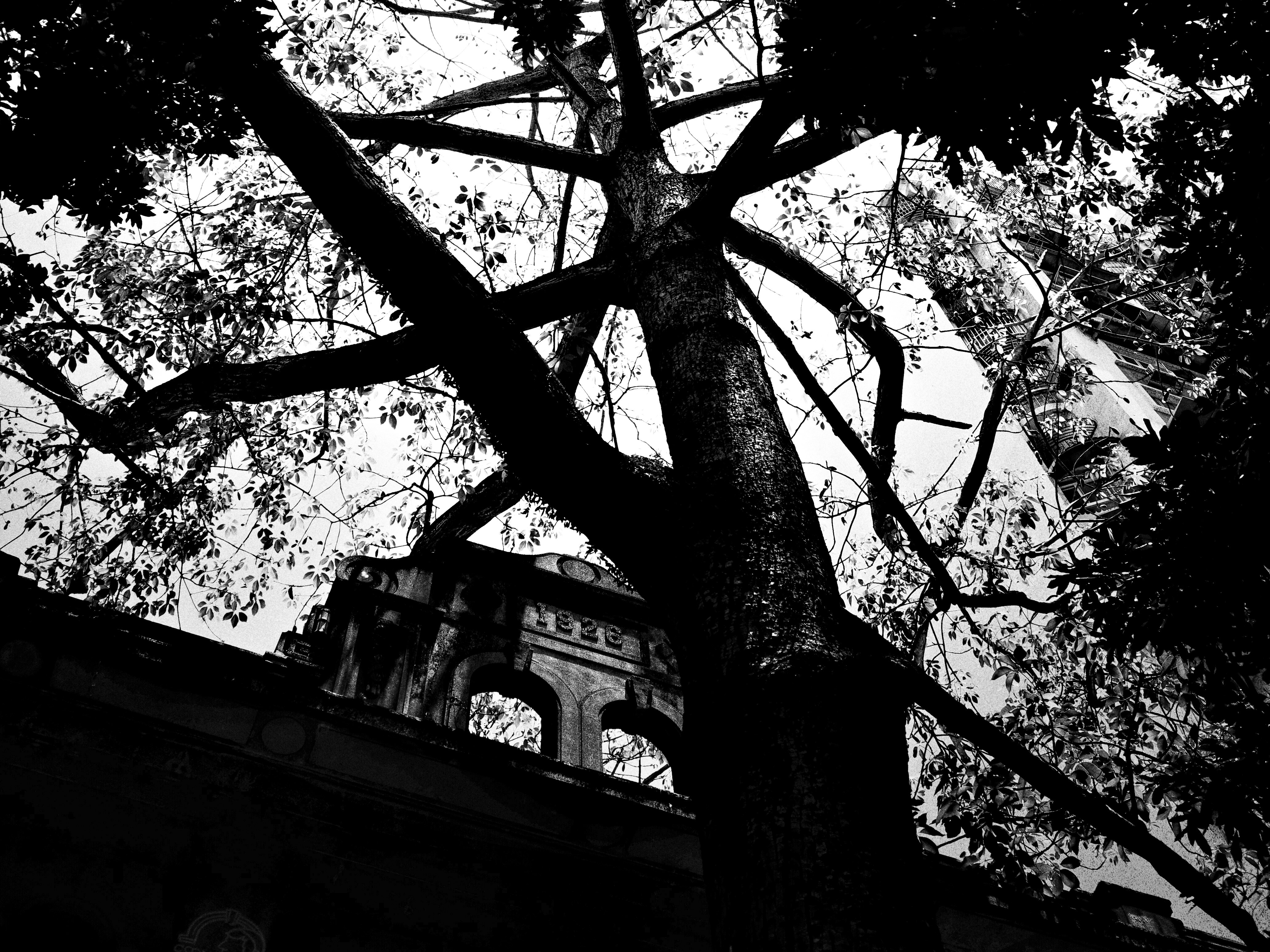 photo-TOkdnA00f0fHe57zBTUU