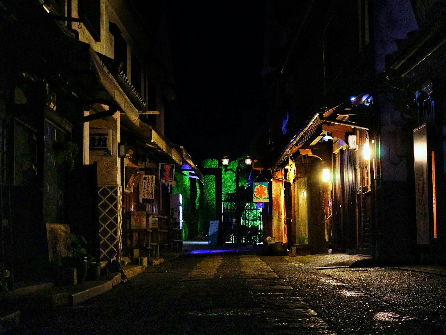 Quiet street at night featuring traditional Japanese buildings and bright neon signs