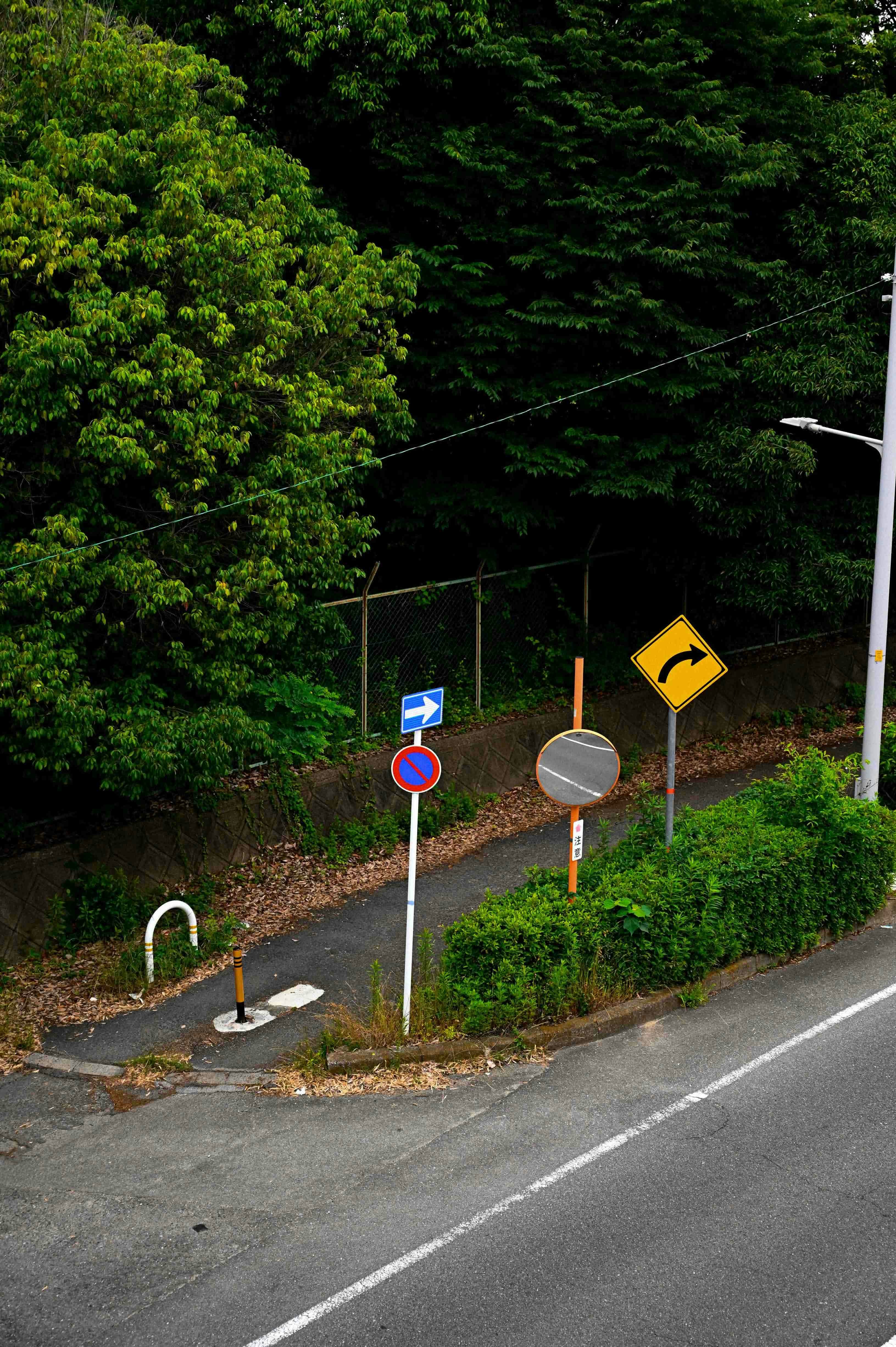 緑の斜面に続く道路標識のある交差点