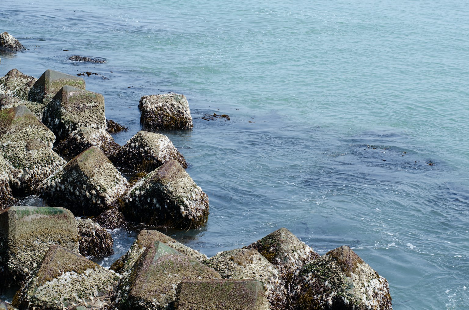 Blocchi di cemento costieri con superficie d'acqua blu