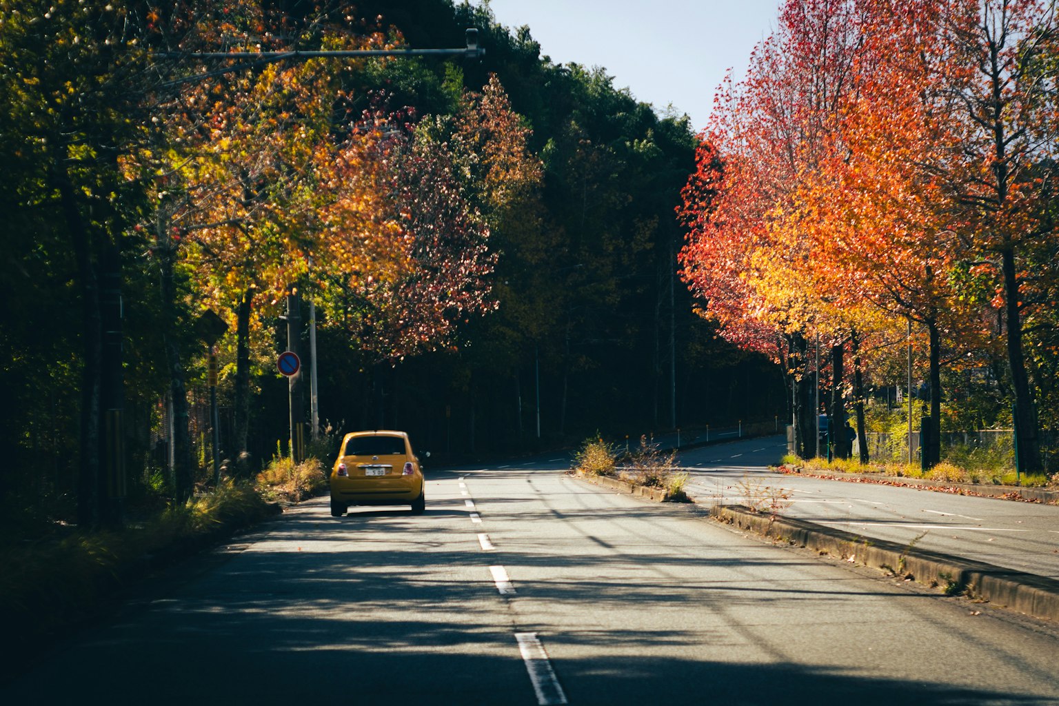 Coche amarillo conduciendo por una carretera rodeada de árboles de otoño coloridos