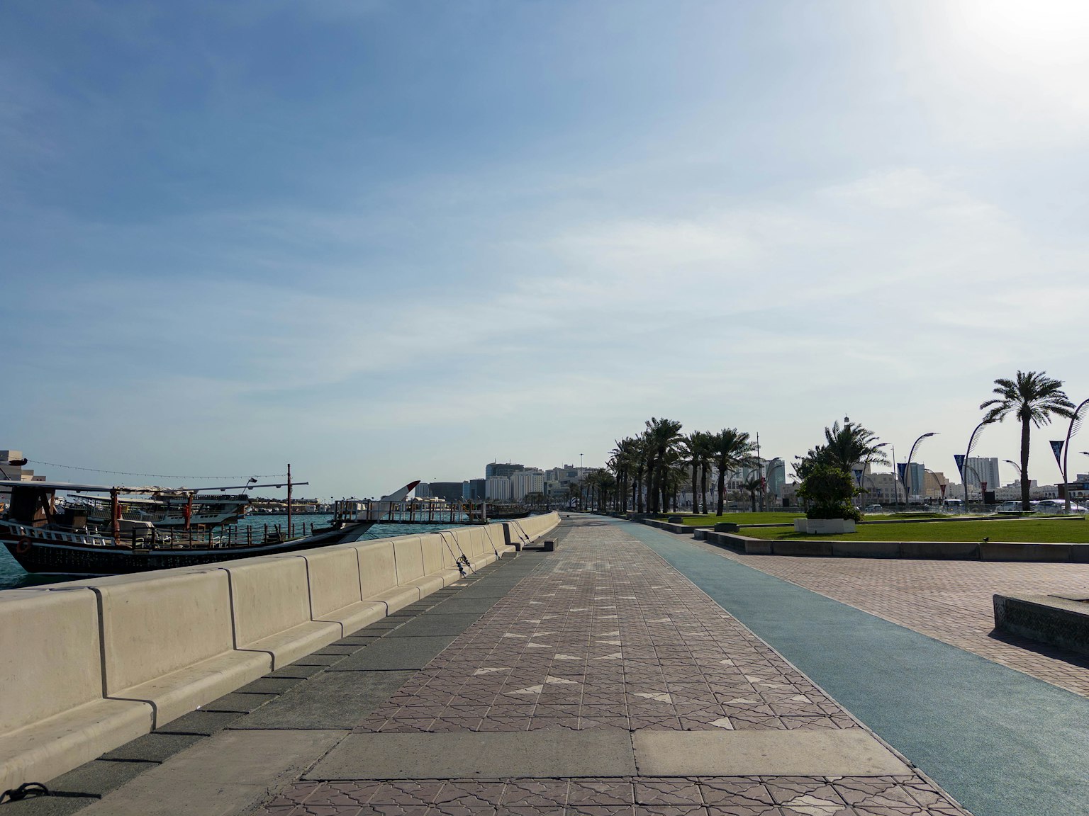 Promenade luminosa junto al mar con palmeras y edificios a lo lejos