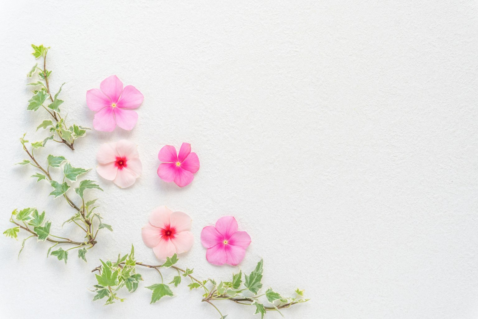 Arreglo de flores rosas y blancas con hojas verdes sobre un fondo claro