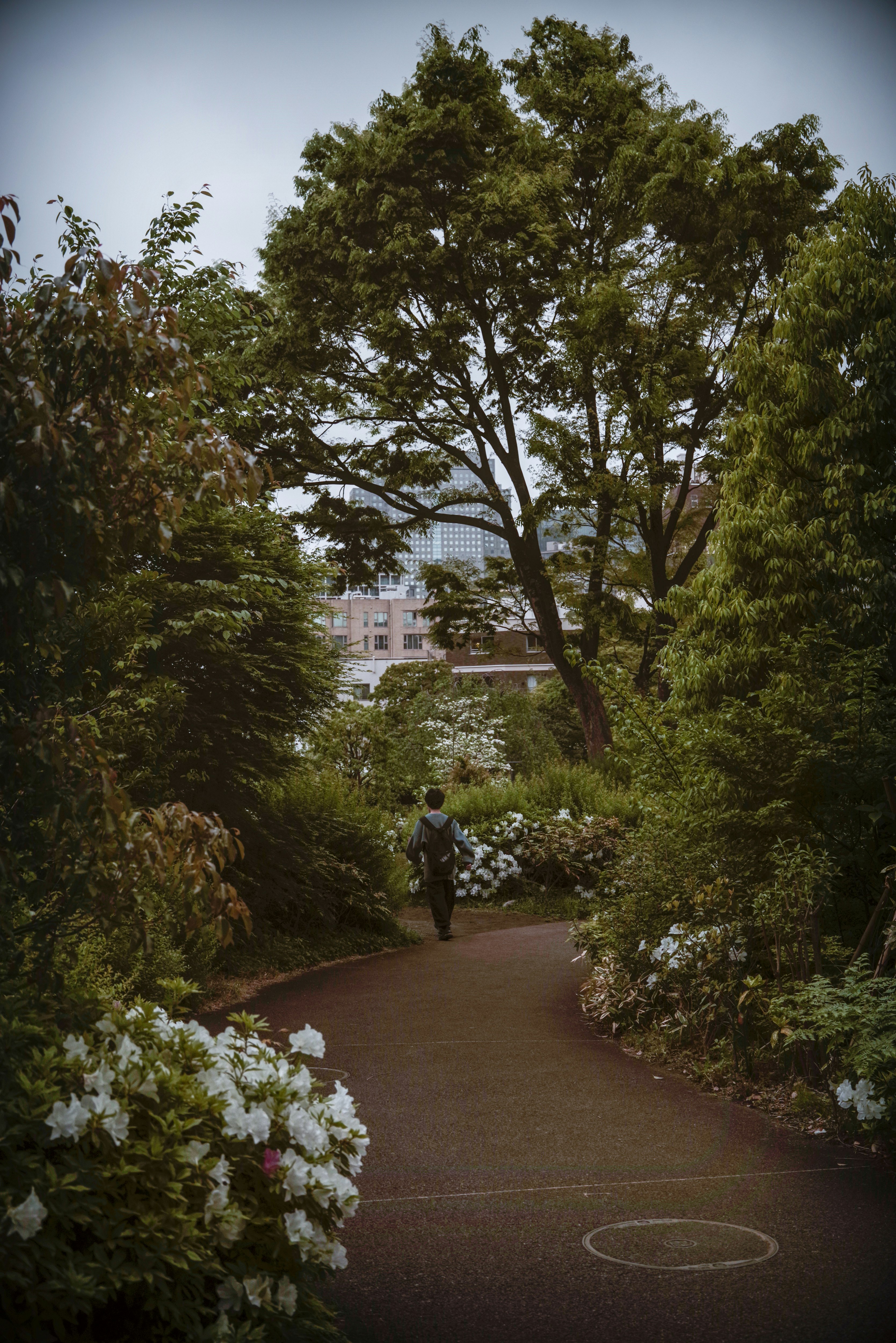 公園の小径を歩く人と春の庭の緑