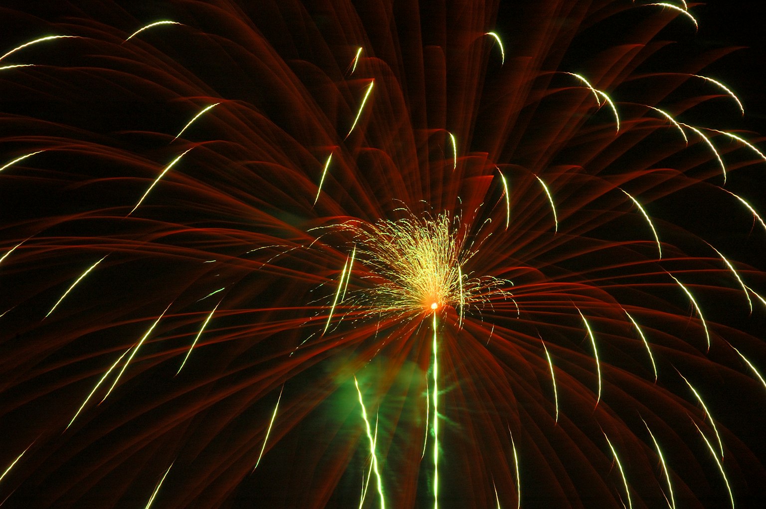 Beaux motifs de feux d'artifice éclatant dans le ciel nocturne