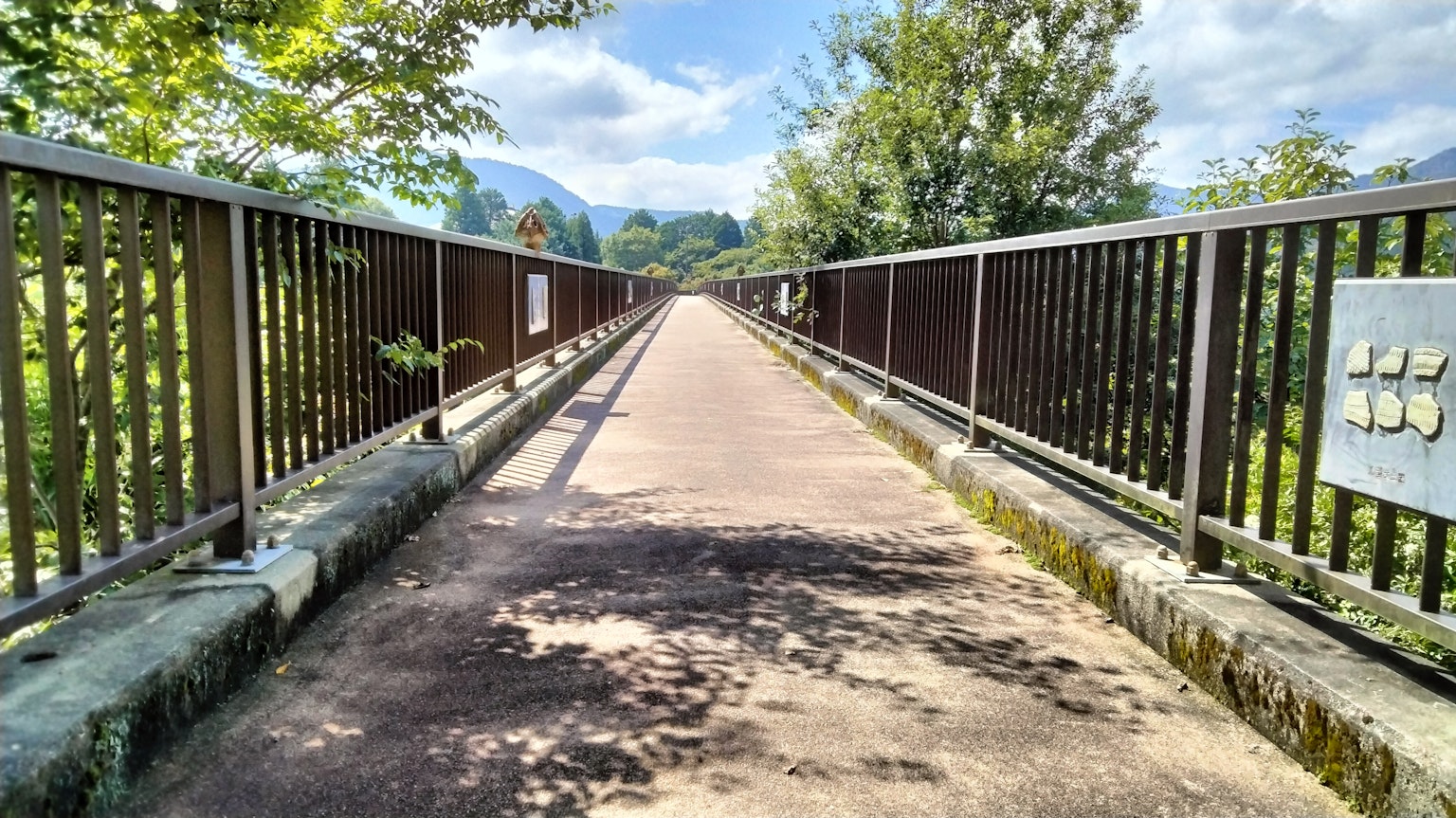 Pemandangan dari jembatan dikelilingi oleh pepohonan dan langit biru
