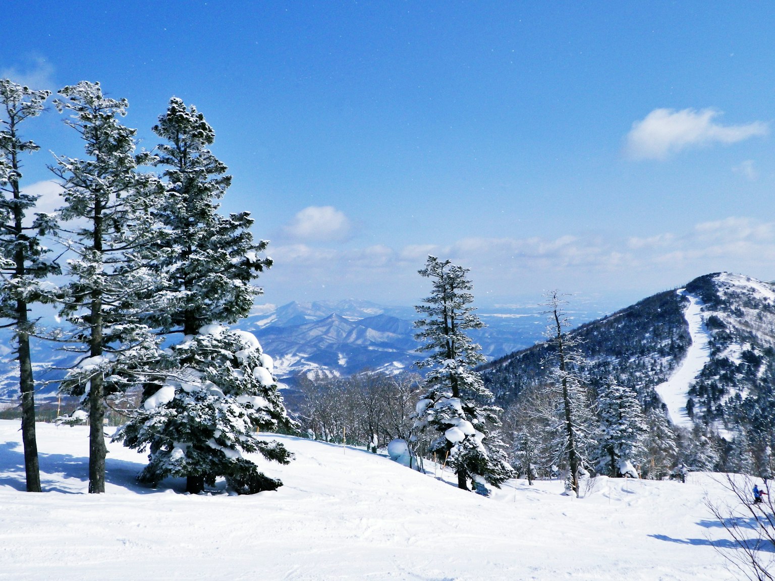 Schneebedeckte Berge mit blauem Himmel und immergrünen Bäumen