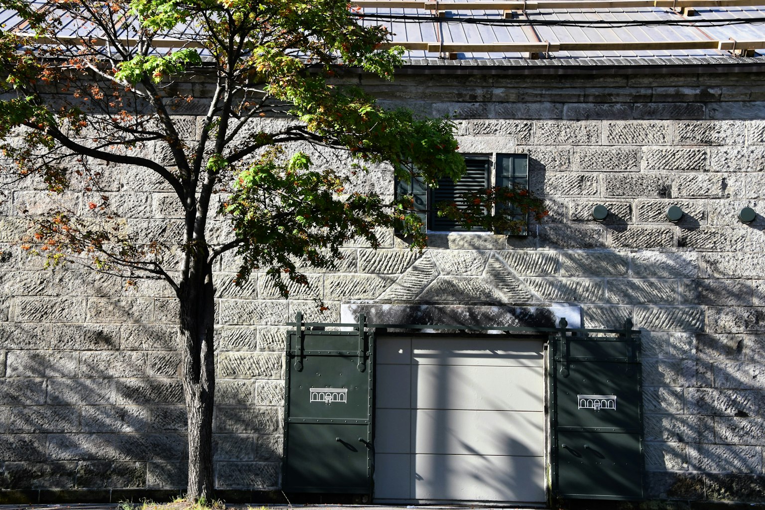 Extérieur d'un bâtiment en pierre avec une porte verte et des ombres d'arbre