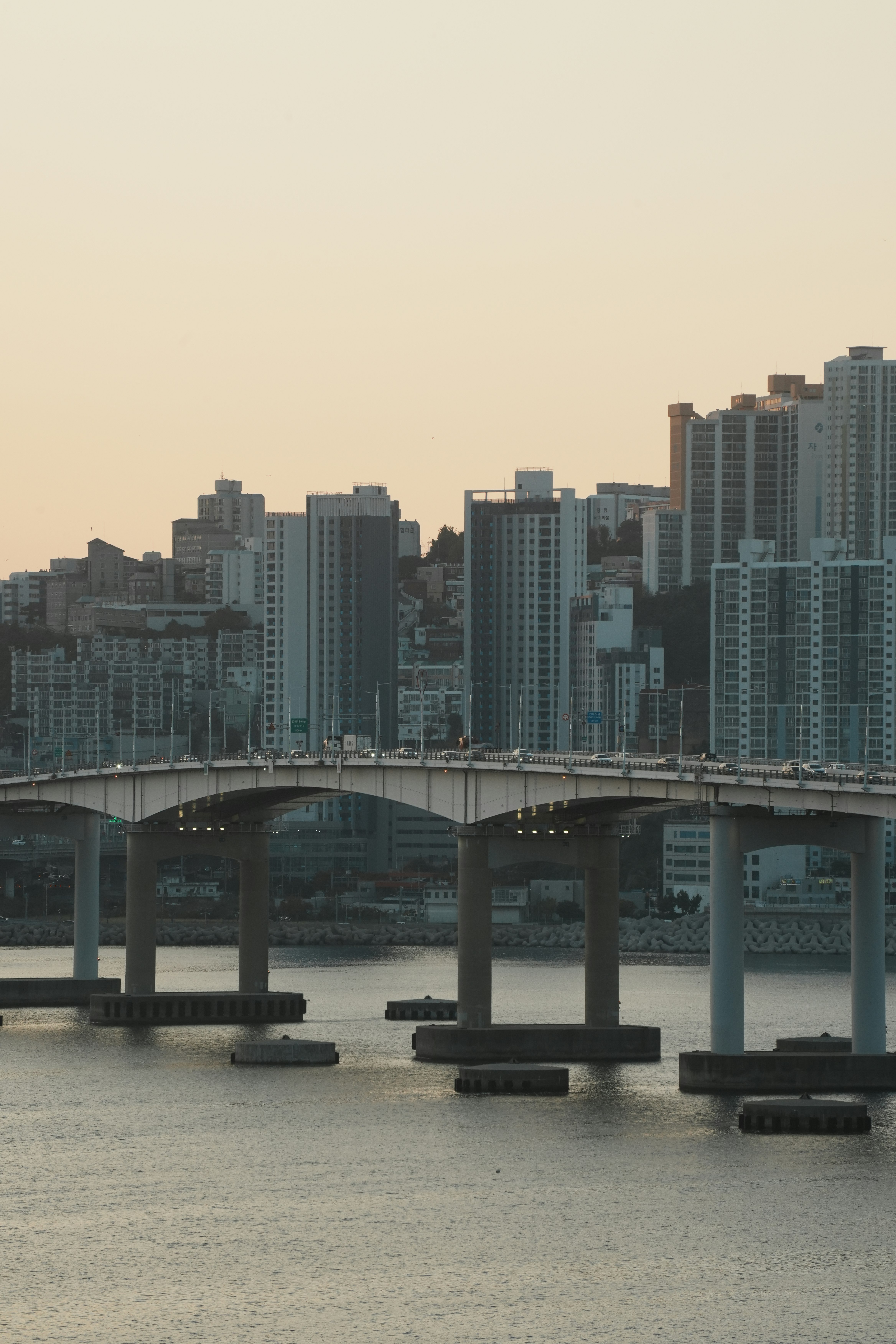 川沿いの高架橋と高層マンションが並ぶ都市の夕景