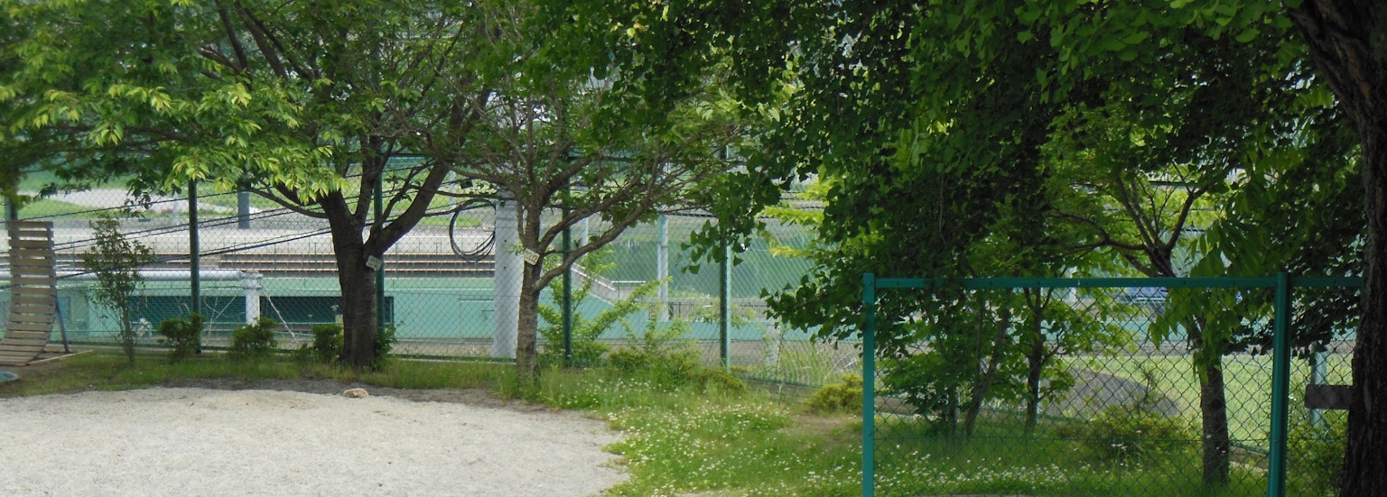 Scène de parc verdoyant avec des arbres et une zone clôturée