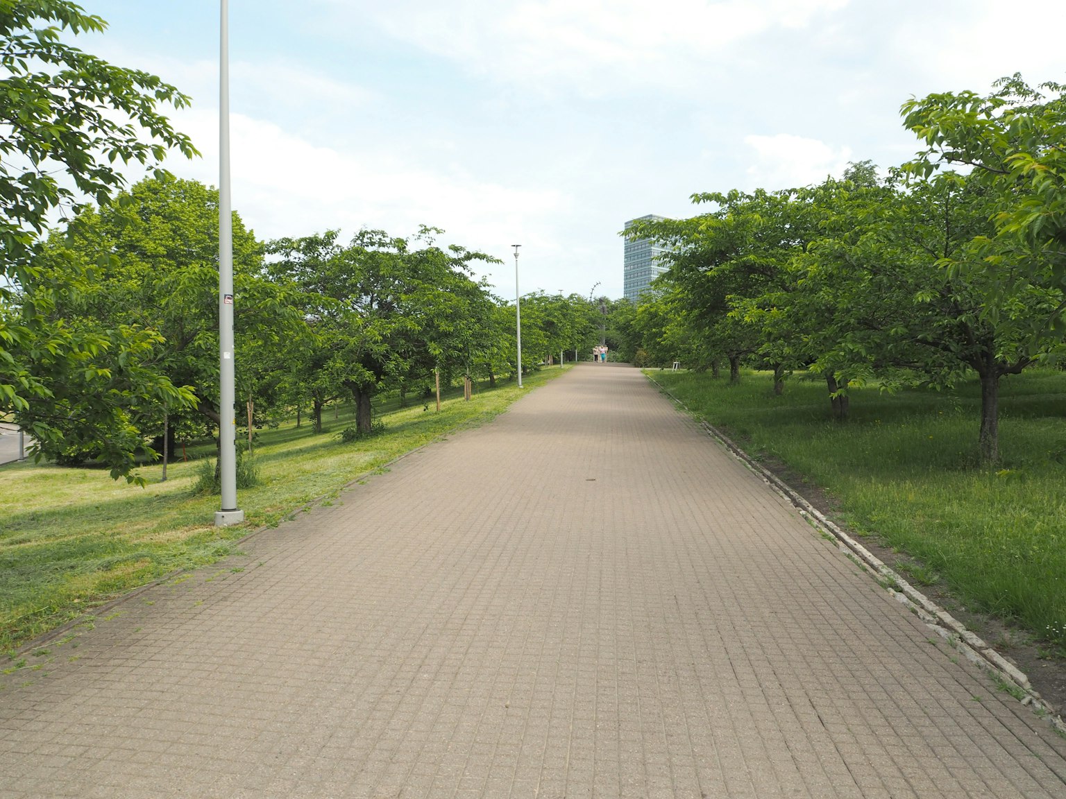 Jalan paved lebar dikelilingi pohon hijau